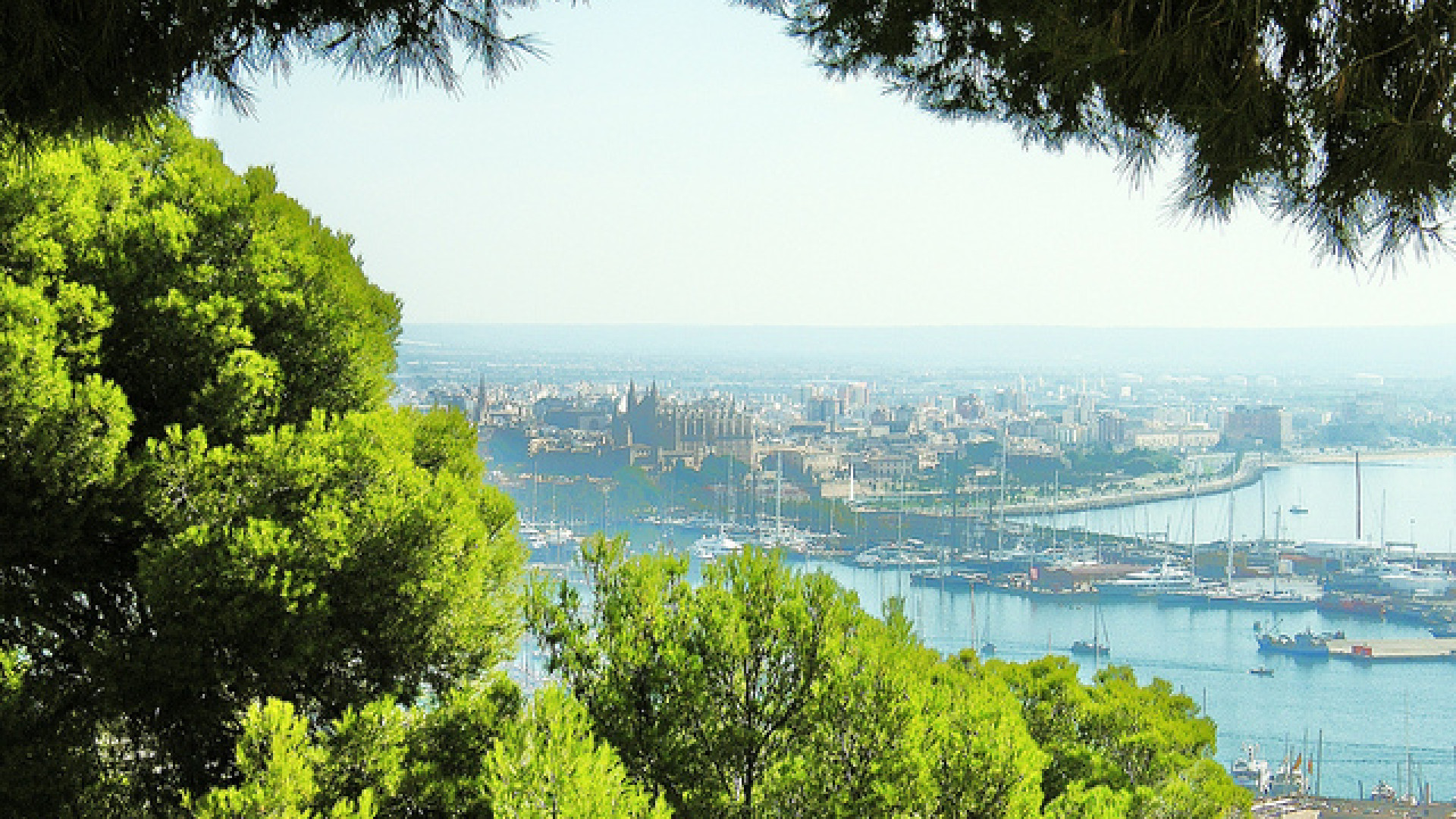 Palma de Mallorca image