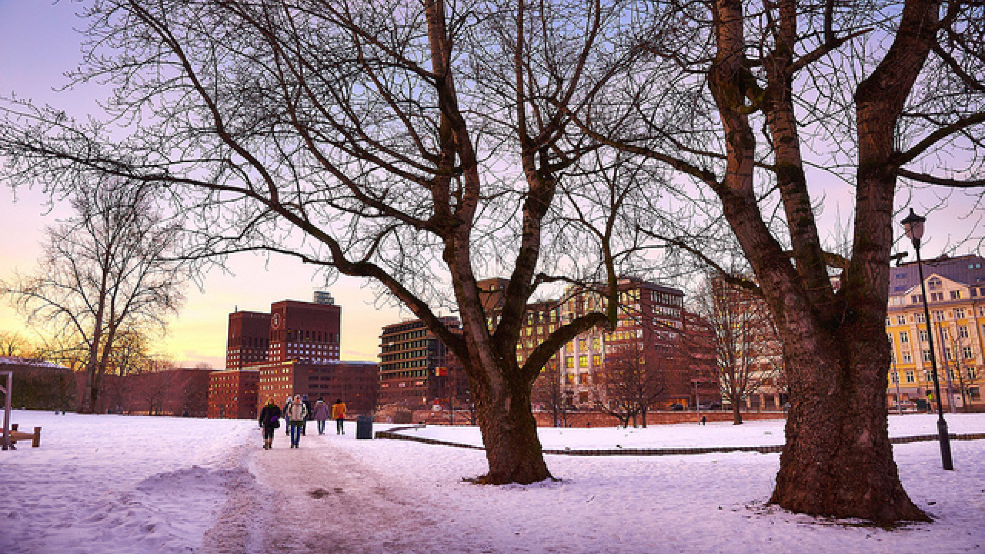 Oslo image
