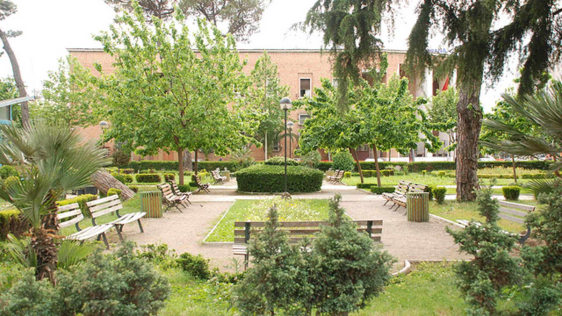Tirana image 4