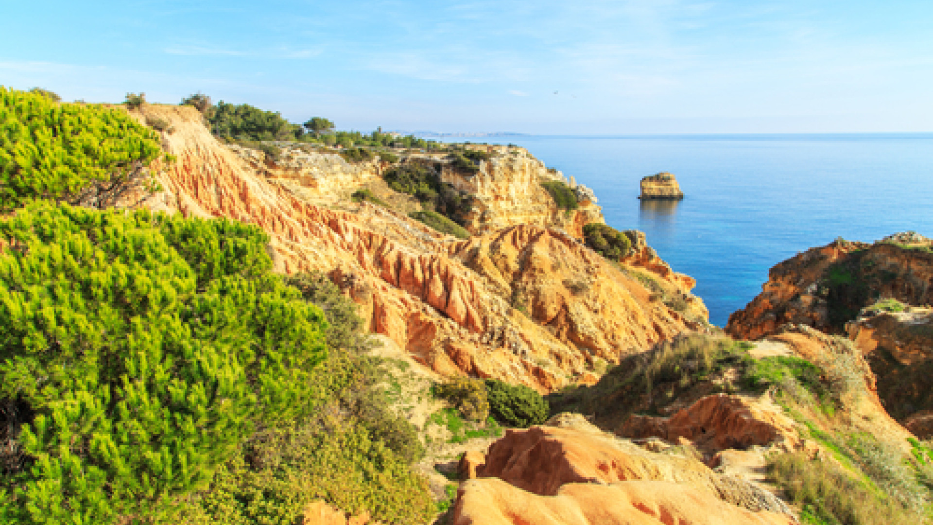 Faro image
