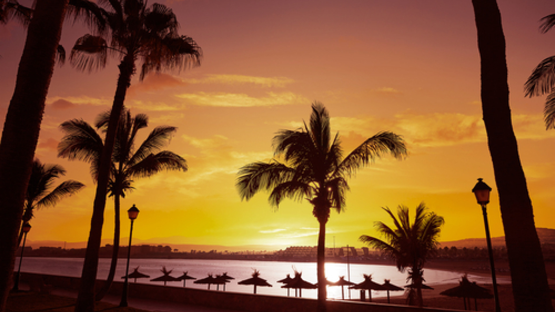 Fuerteventura image