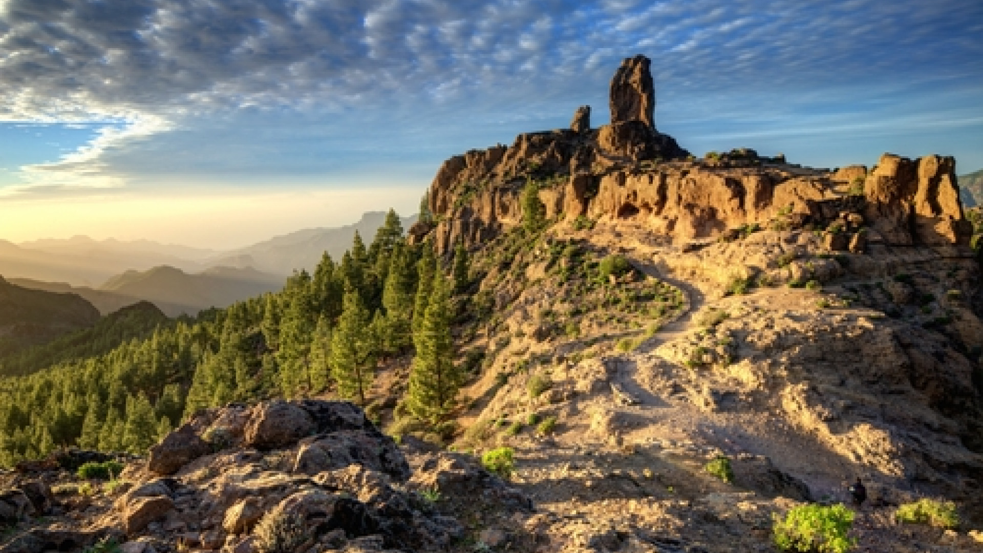 Gran Canaria Las Palmas image