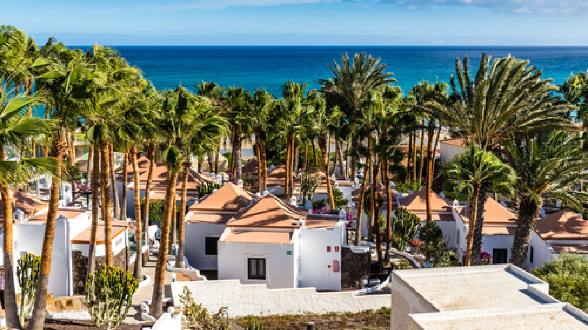 Fuerteventura image