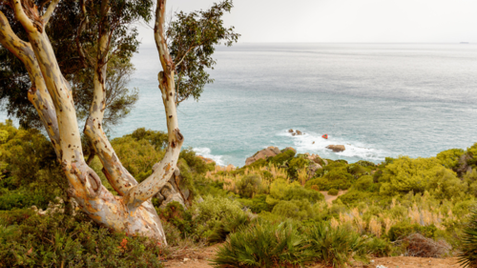 Al Hoceima image