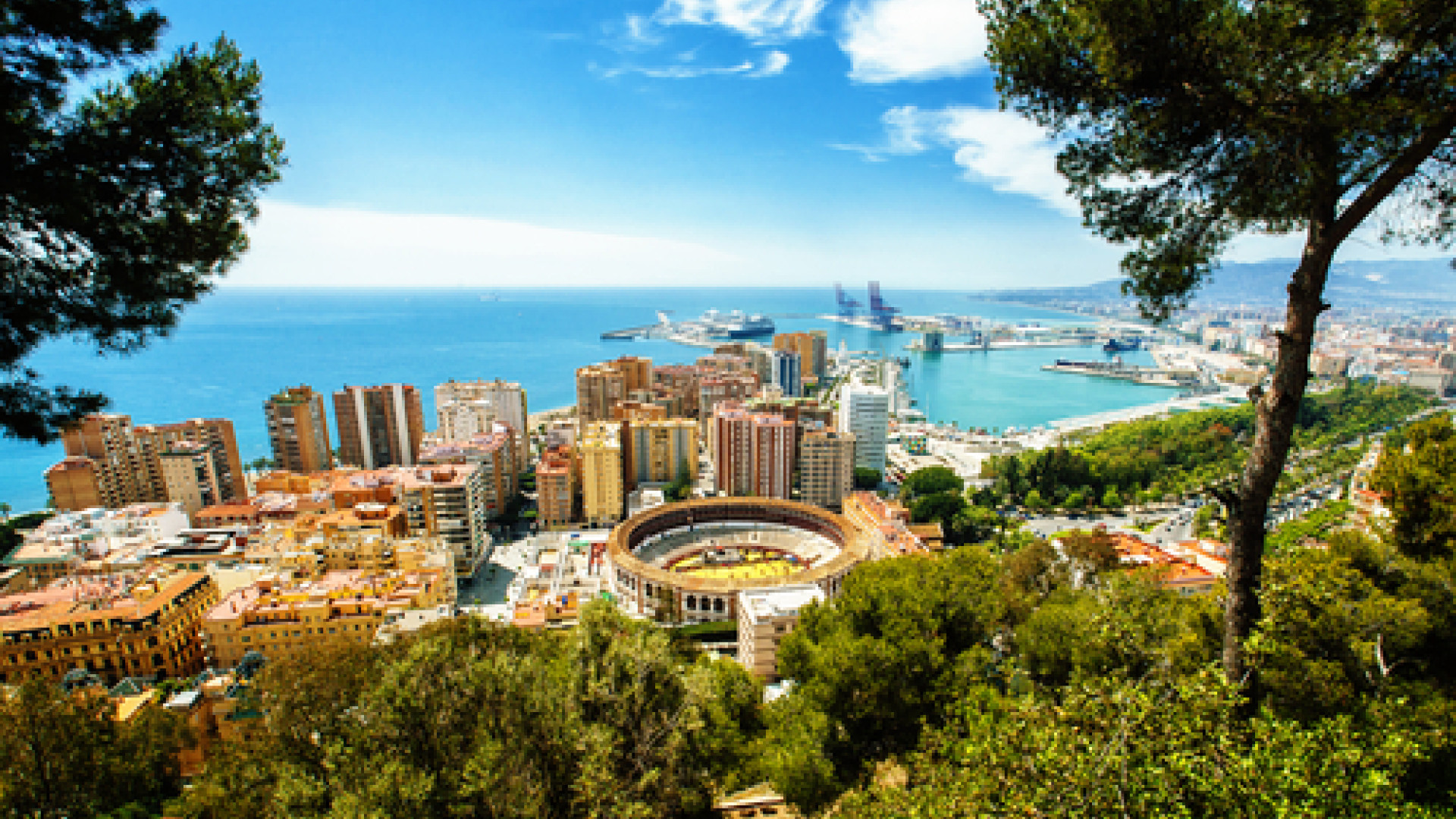 Malaga image