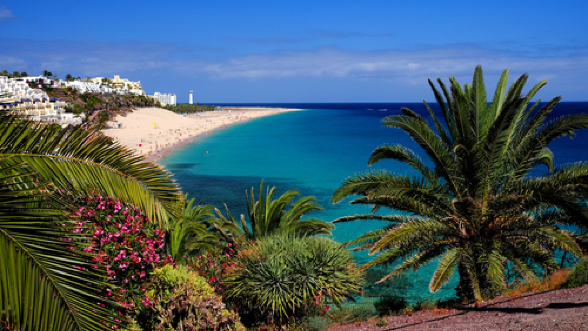 Fuerteventura image