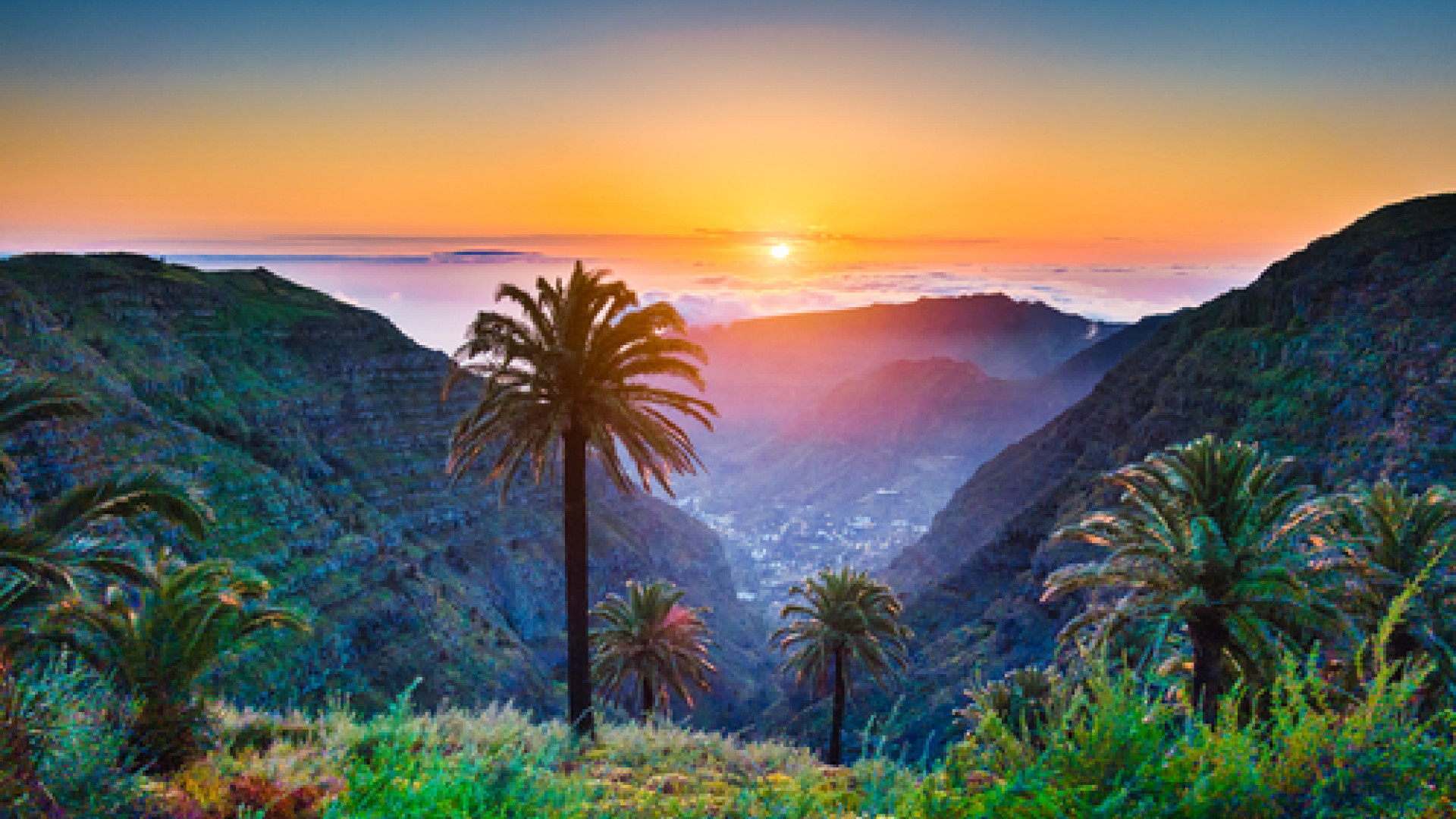 Gran Canaria Las Palmas image