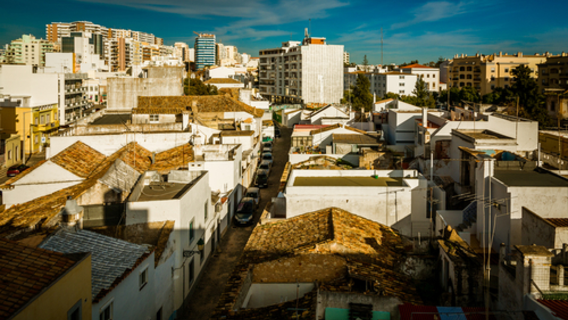 Faro image