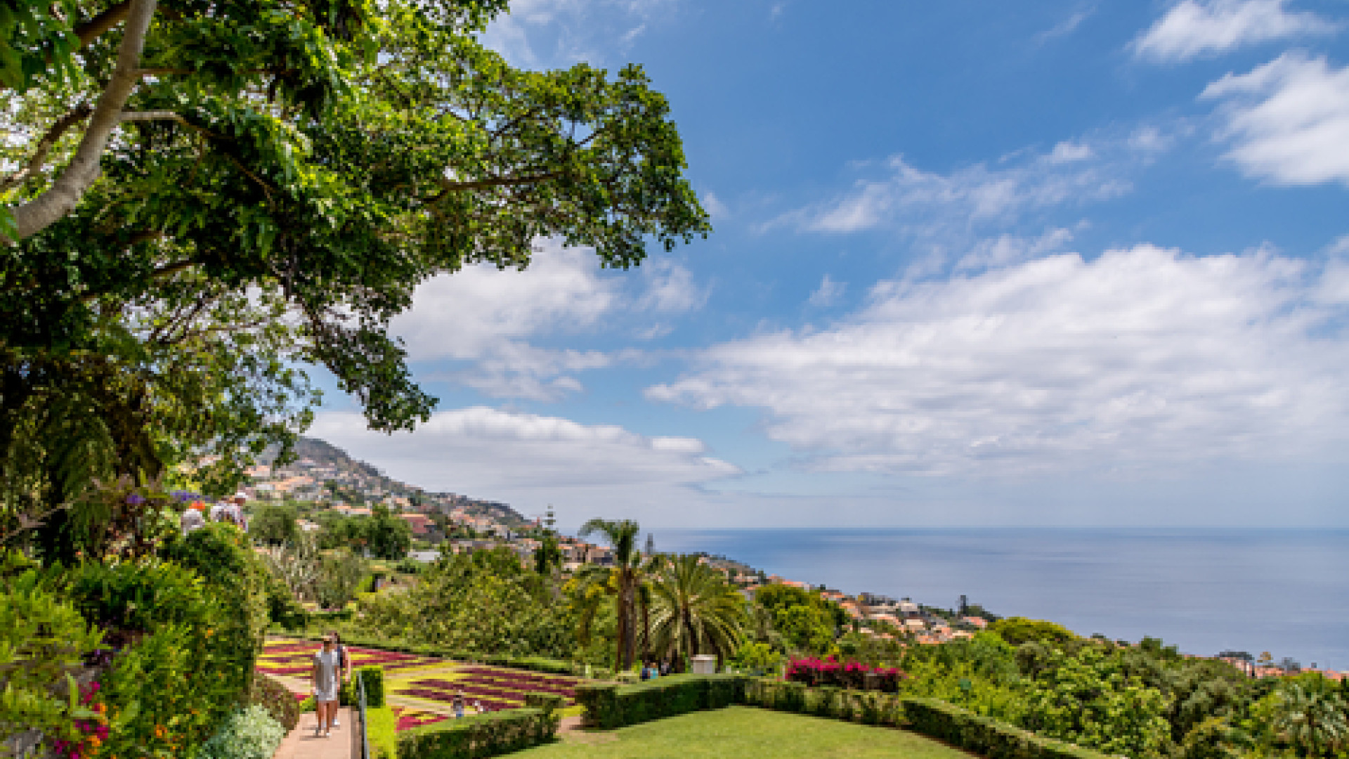 Funchal image