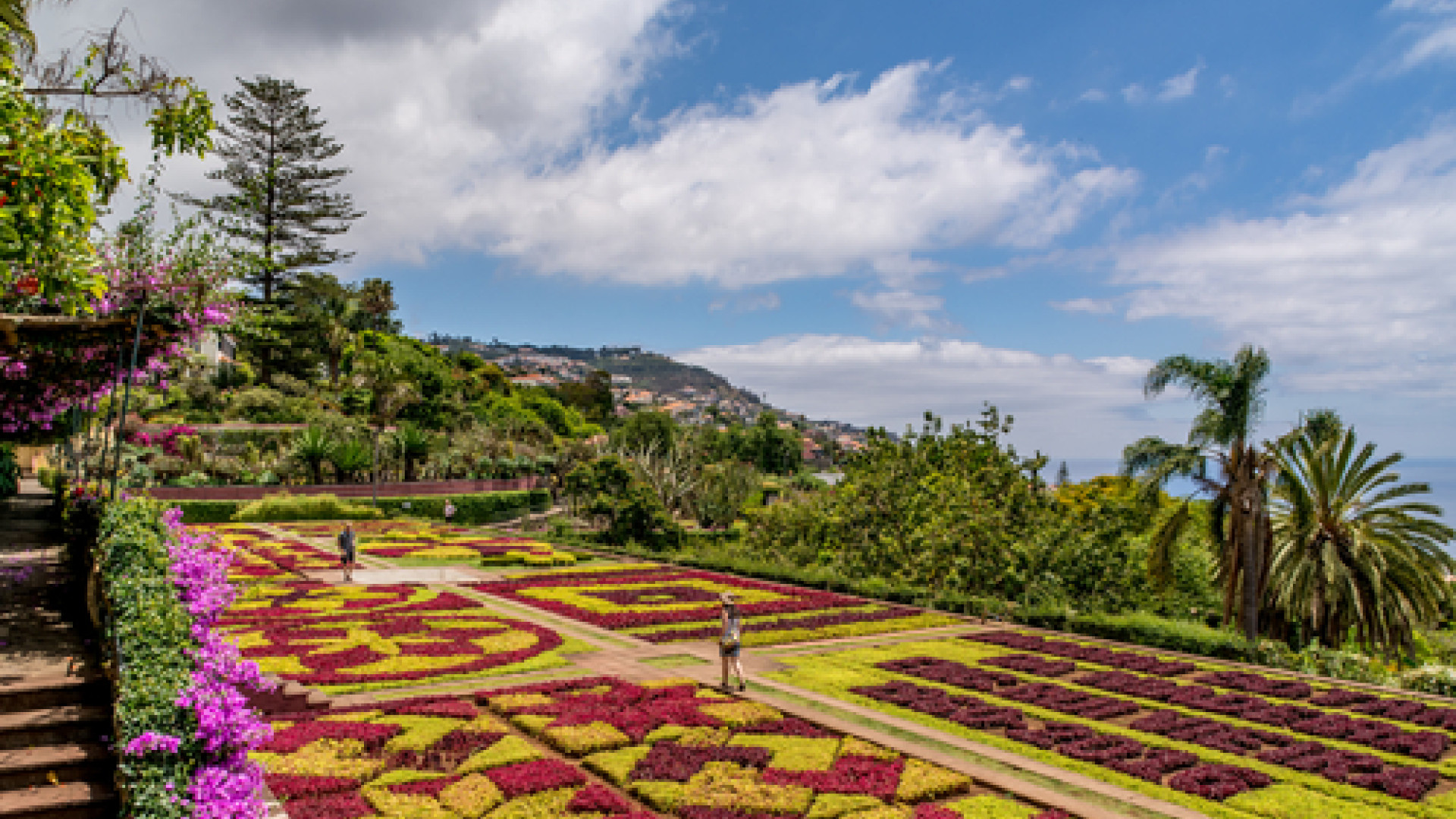 Funchal image