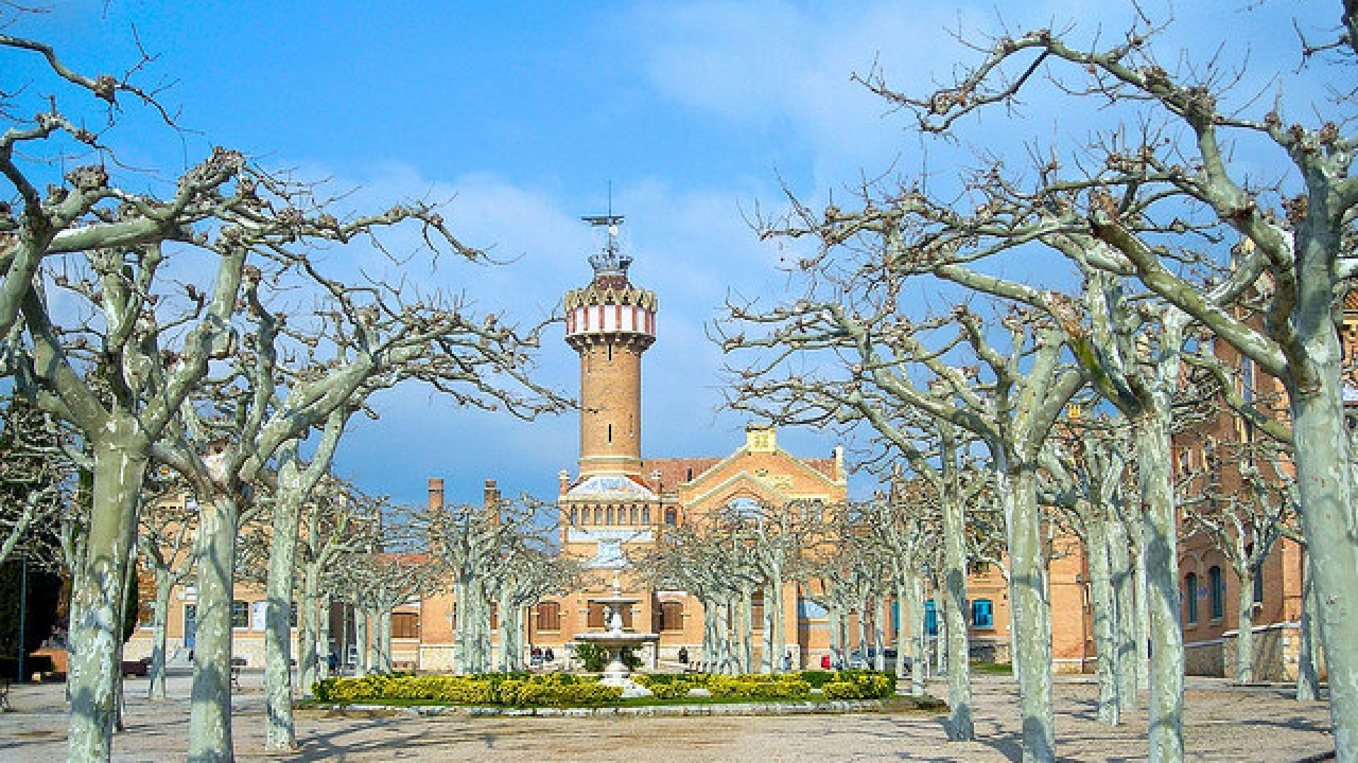 Reus image