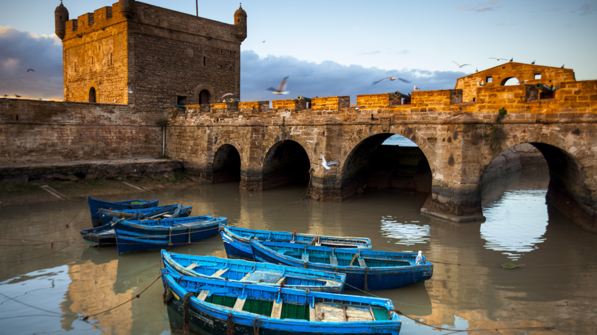 Essaouira image 5