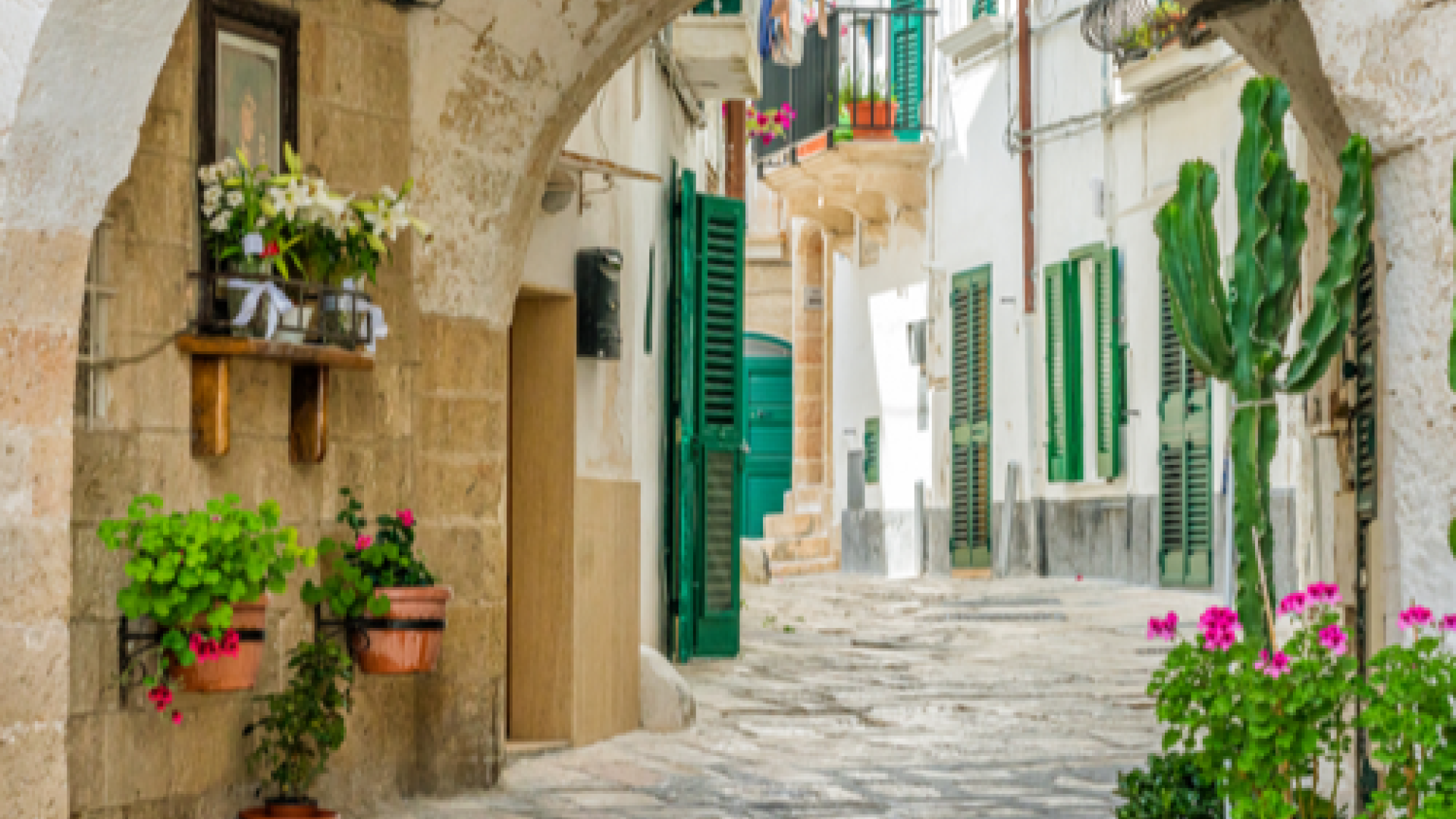 Bari image