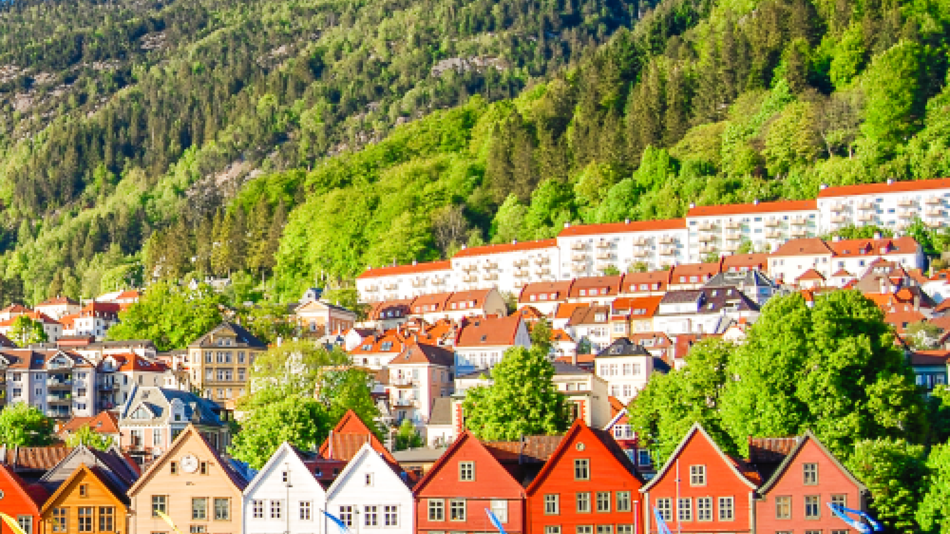 Bergen image