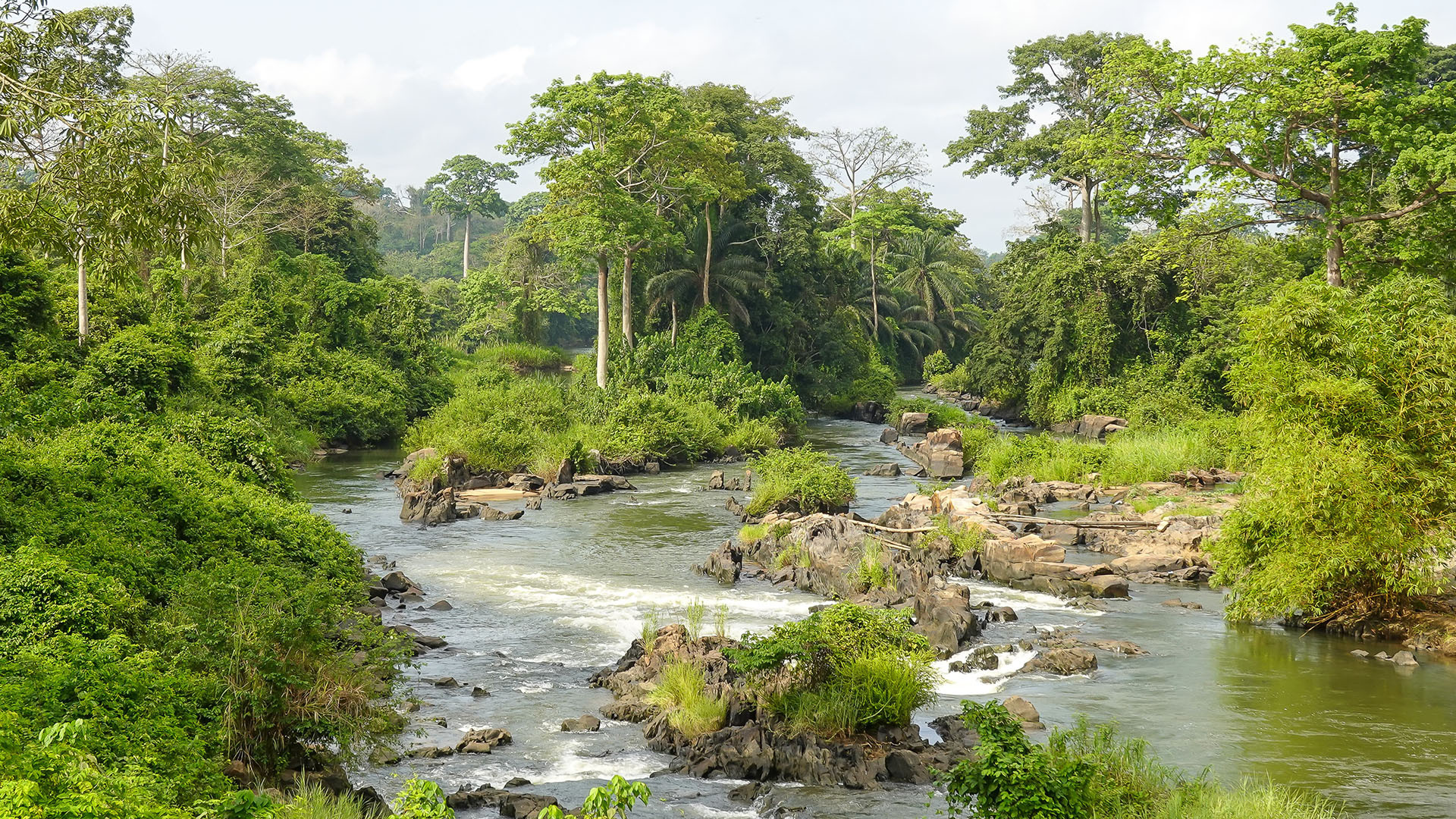Abidjan image 4