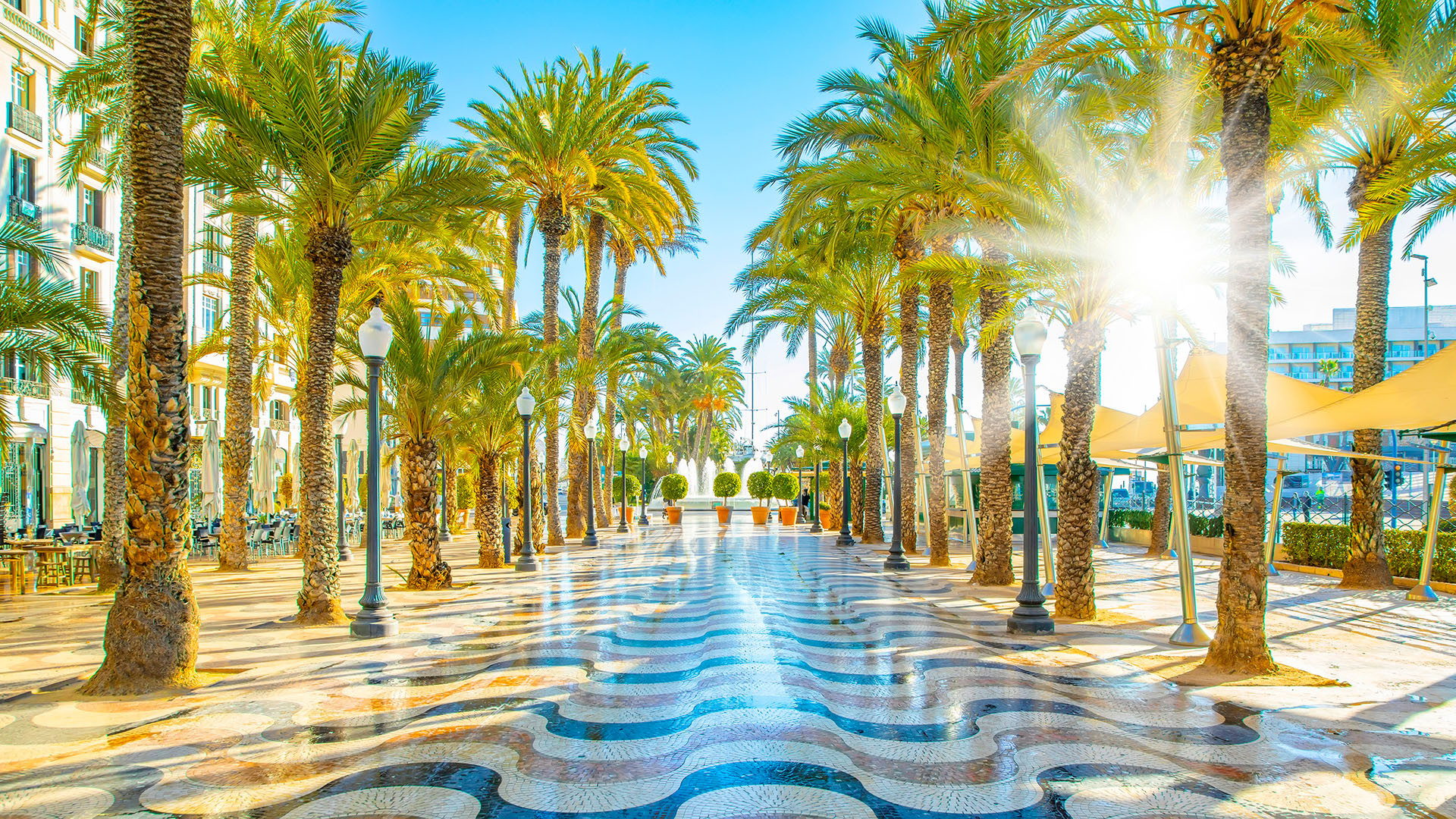 Alicante image 2