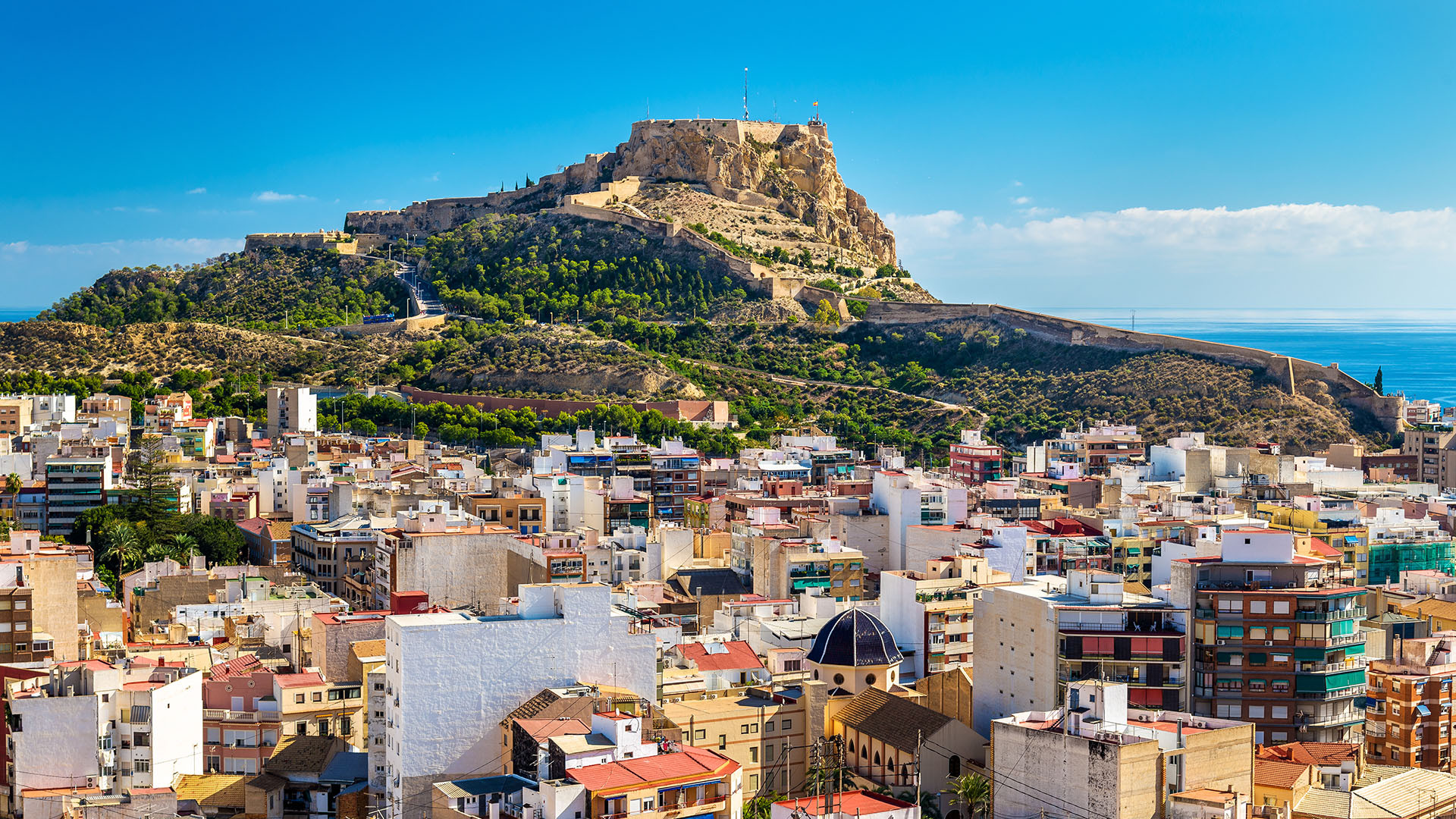 Alicante image 3