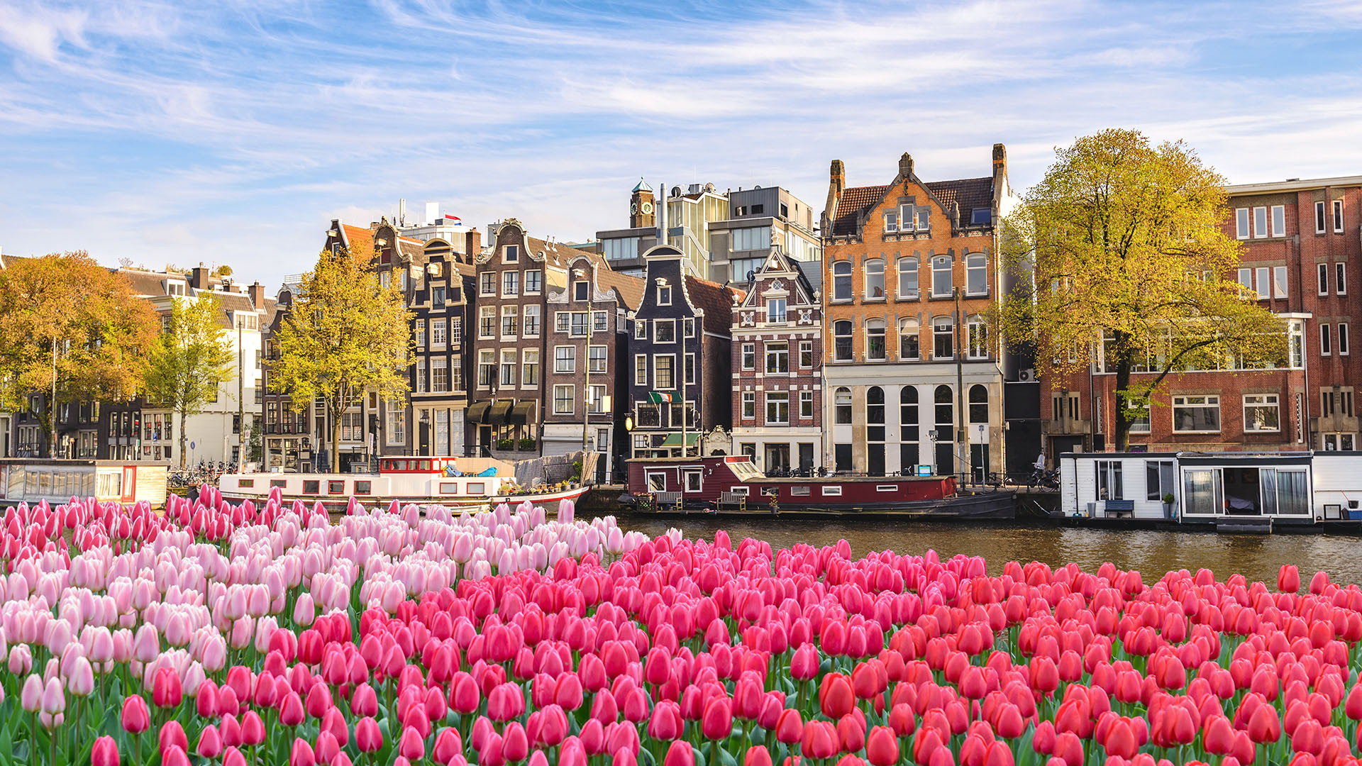 Amsterdam image 3