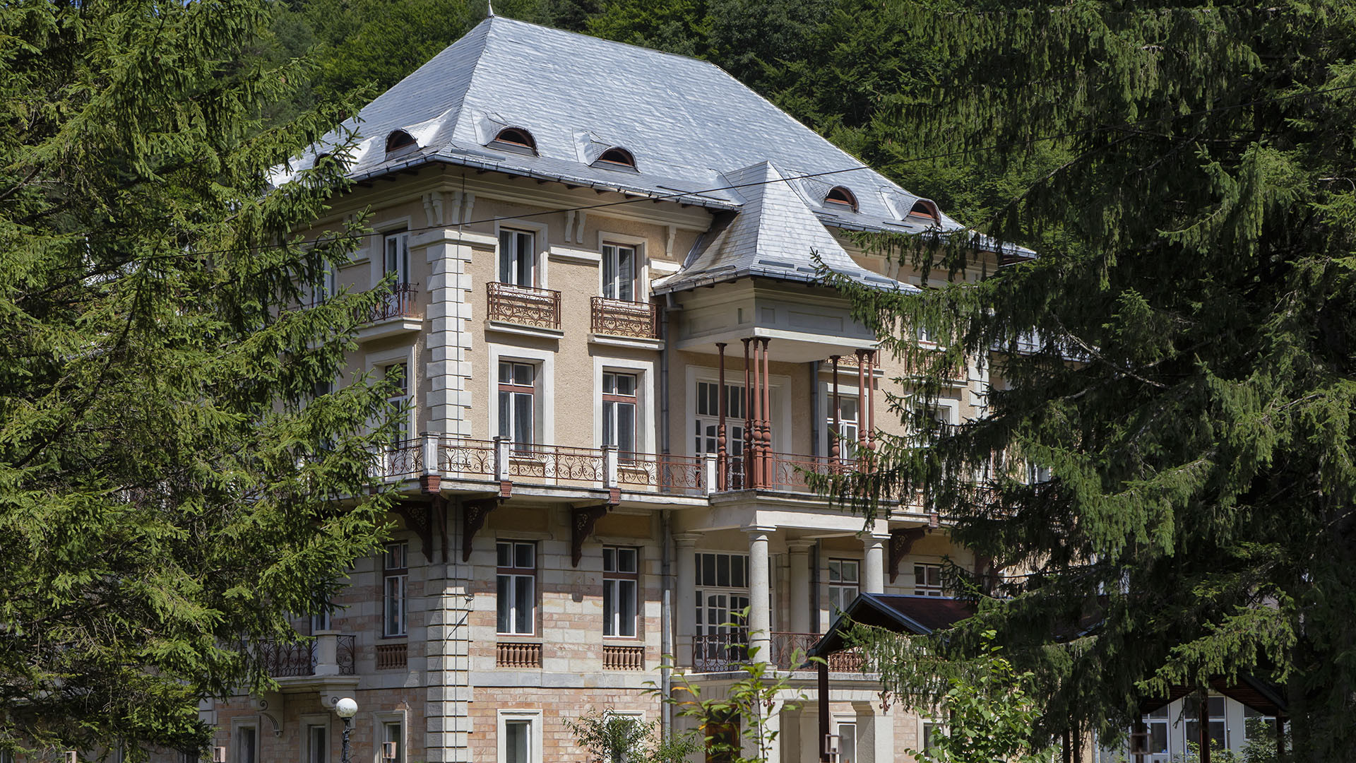 Bacau image 5