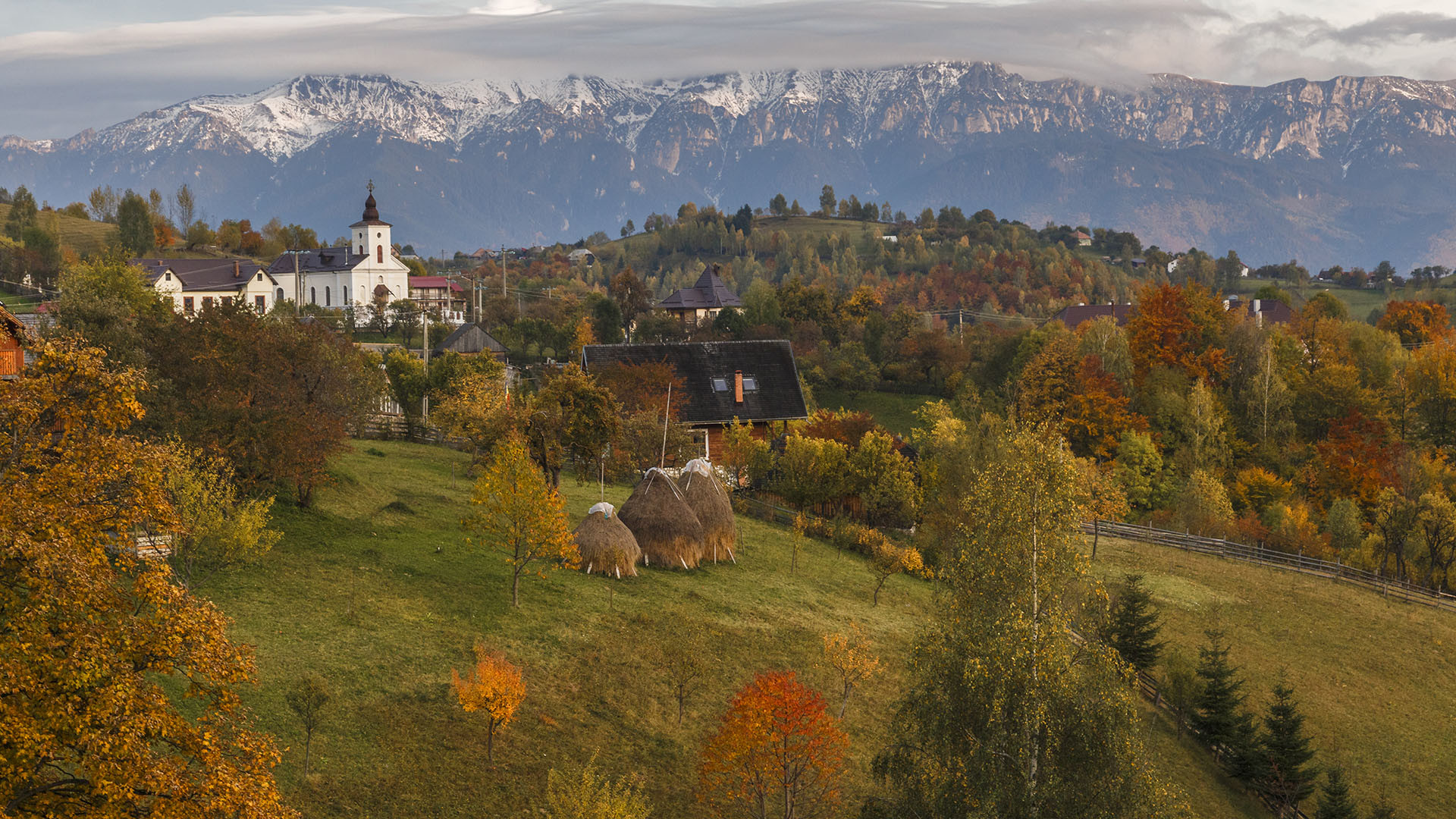 Bacau image 3
