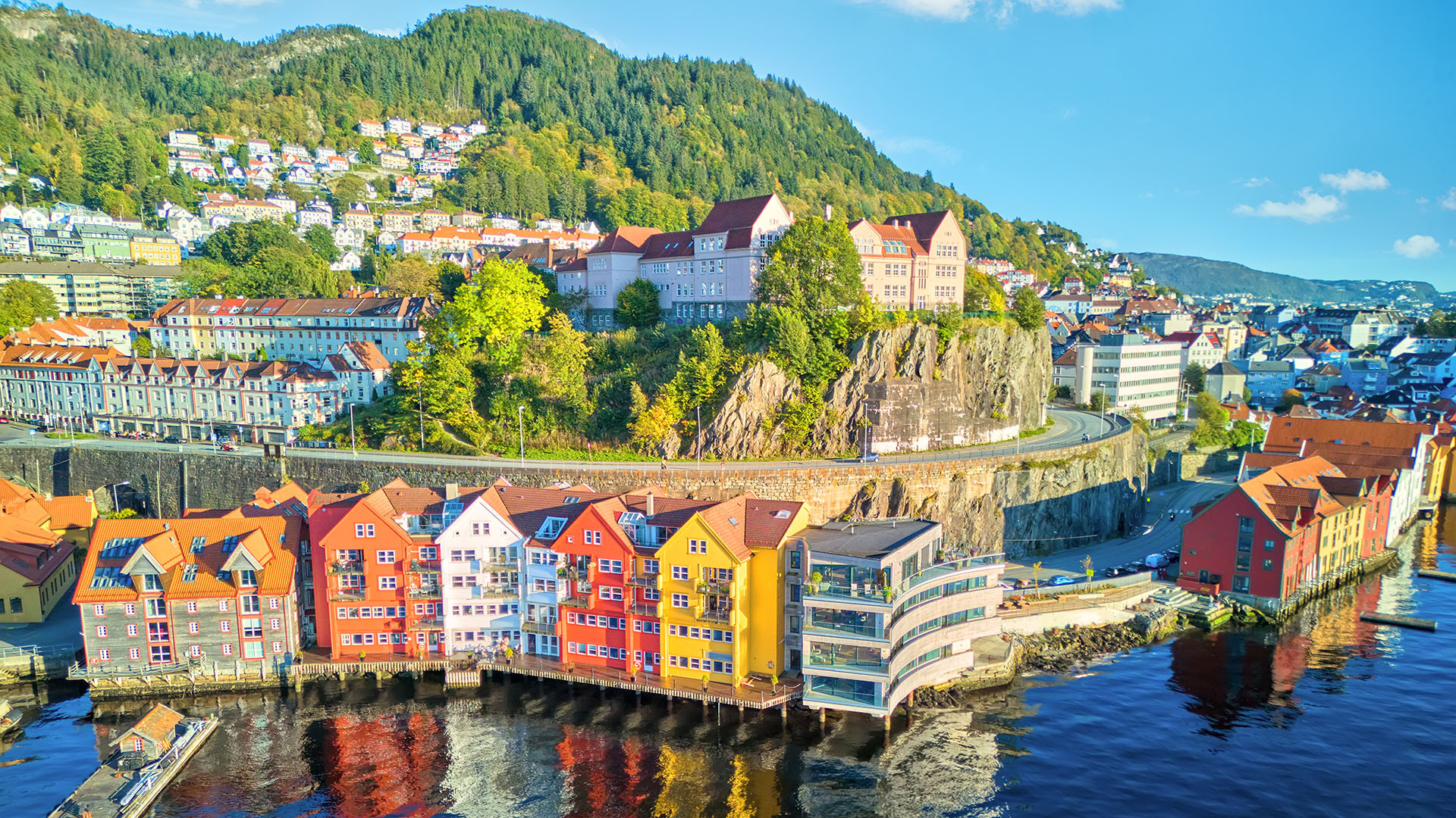 Bergen image 5