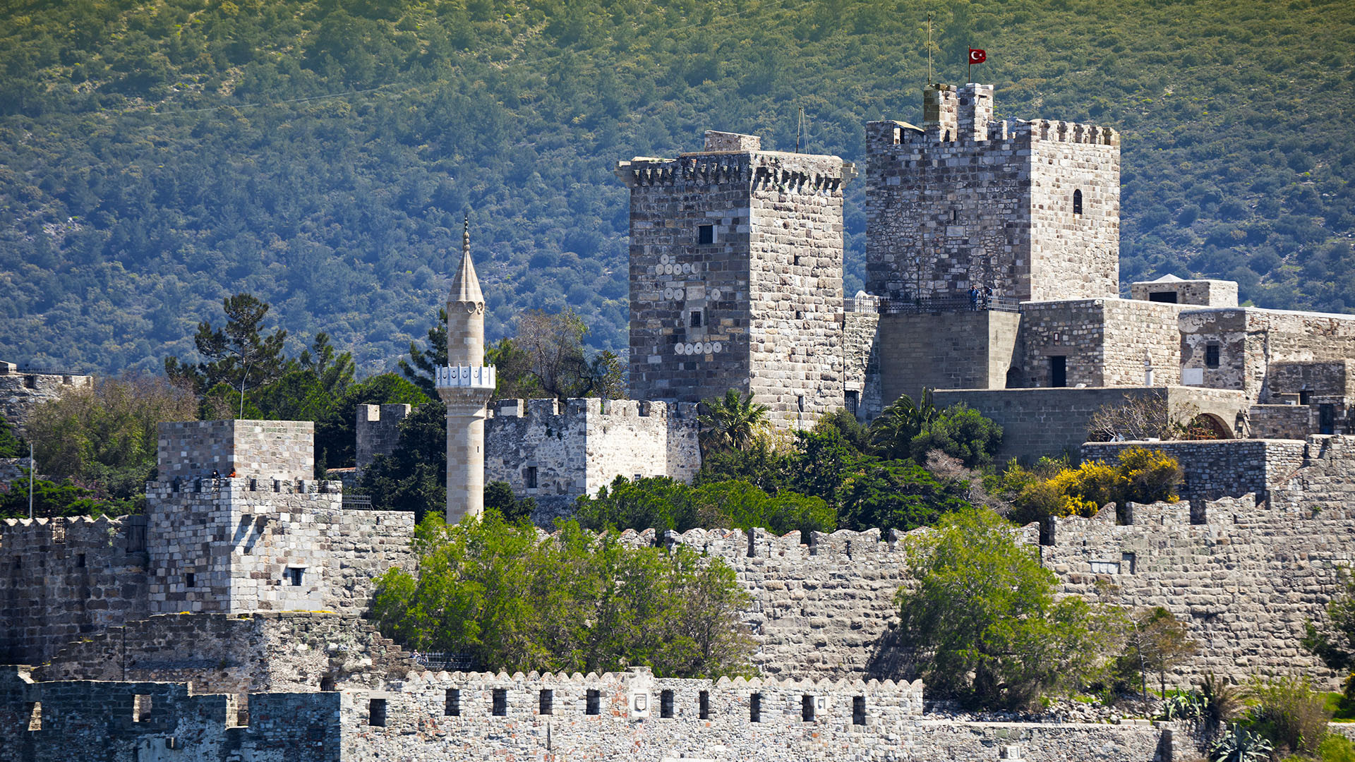 Bodrum image 4