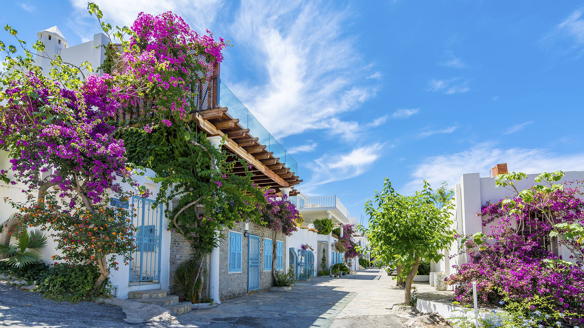 Bodrum image 2