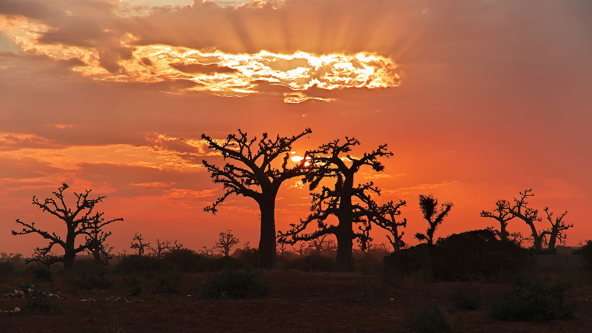 Dakar image 3
