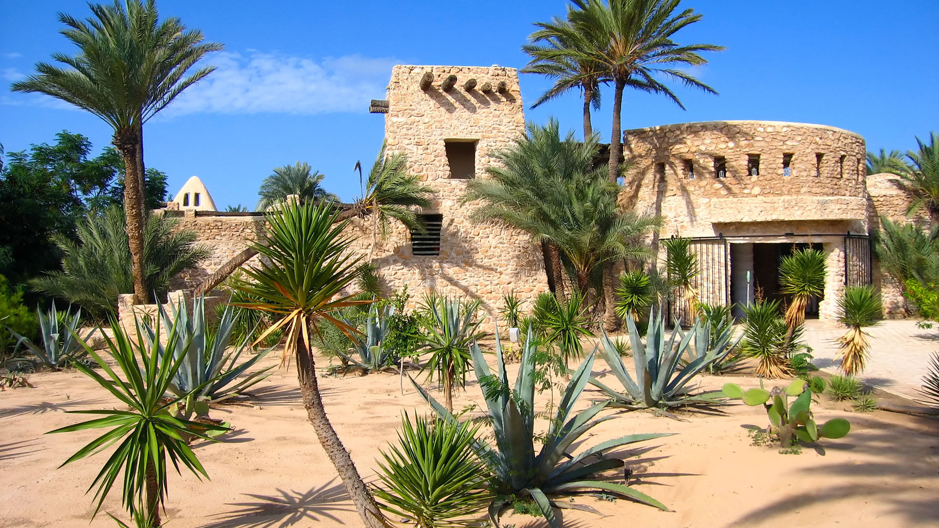 Djerba image 2