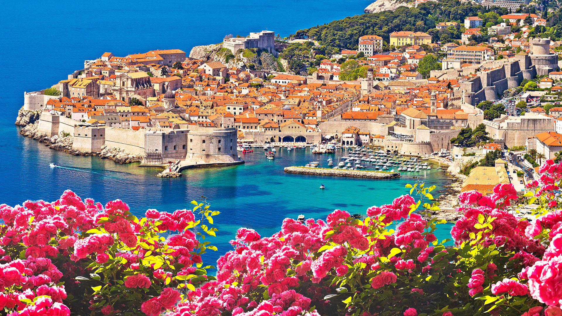 Dubrovnik image 4