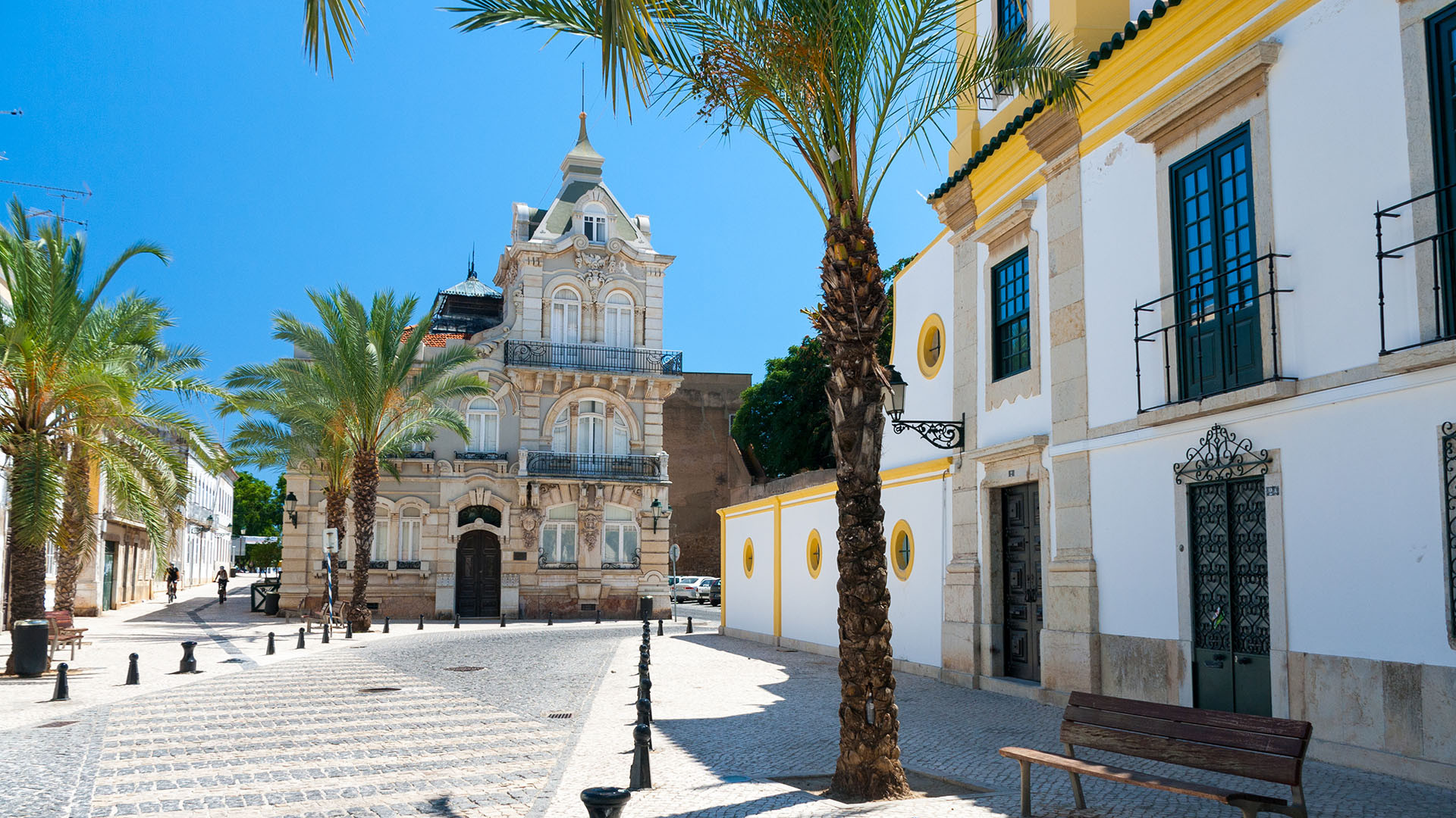 Faro image 4