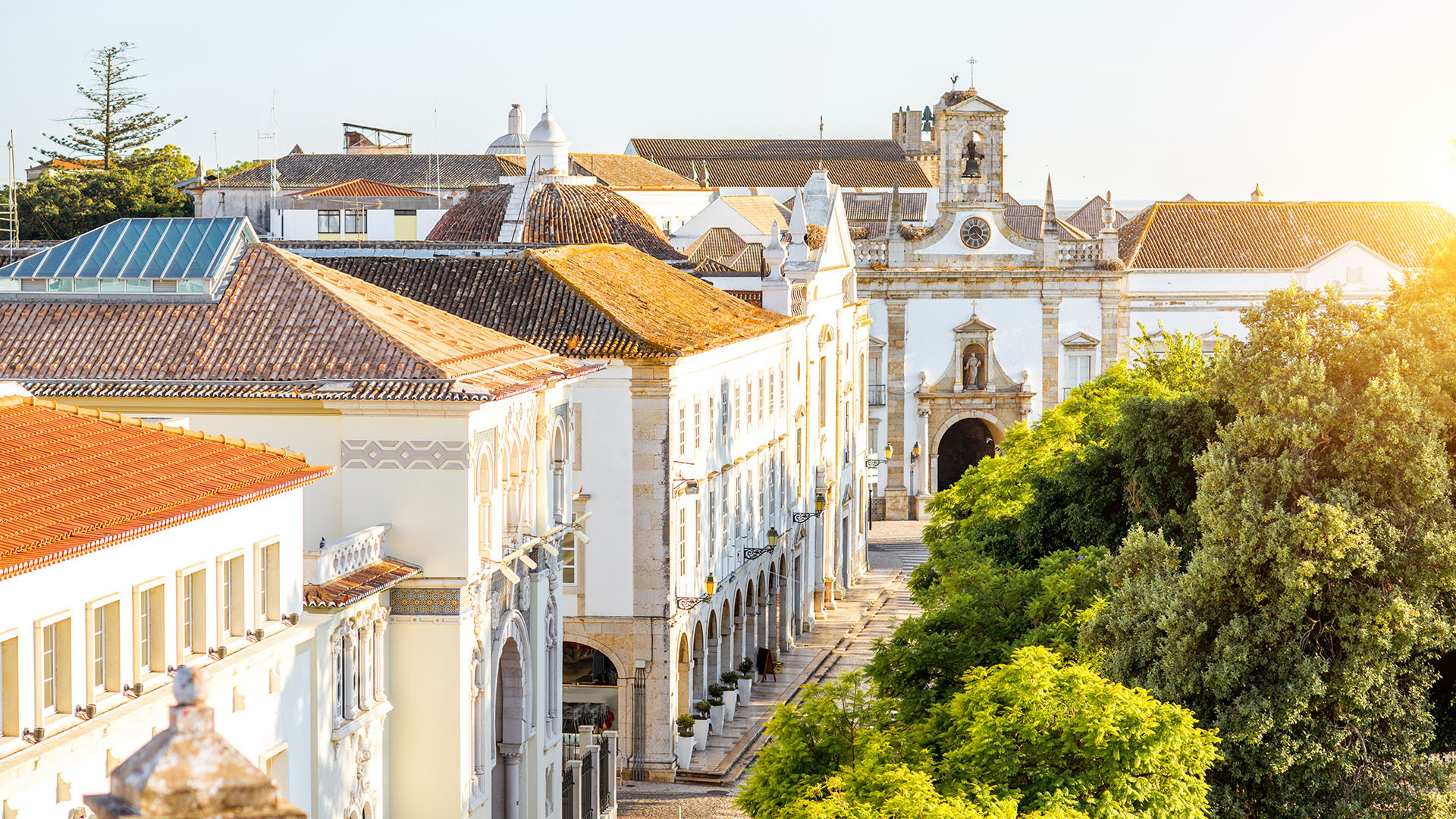 Faro image 5