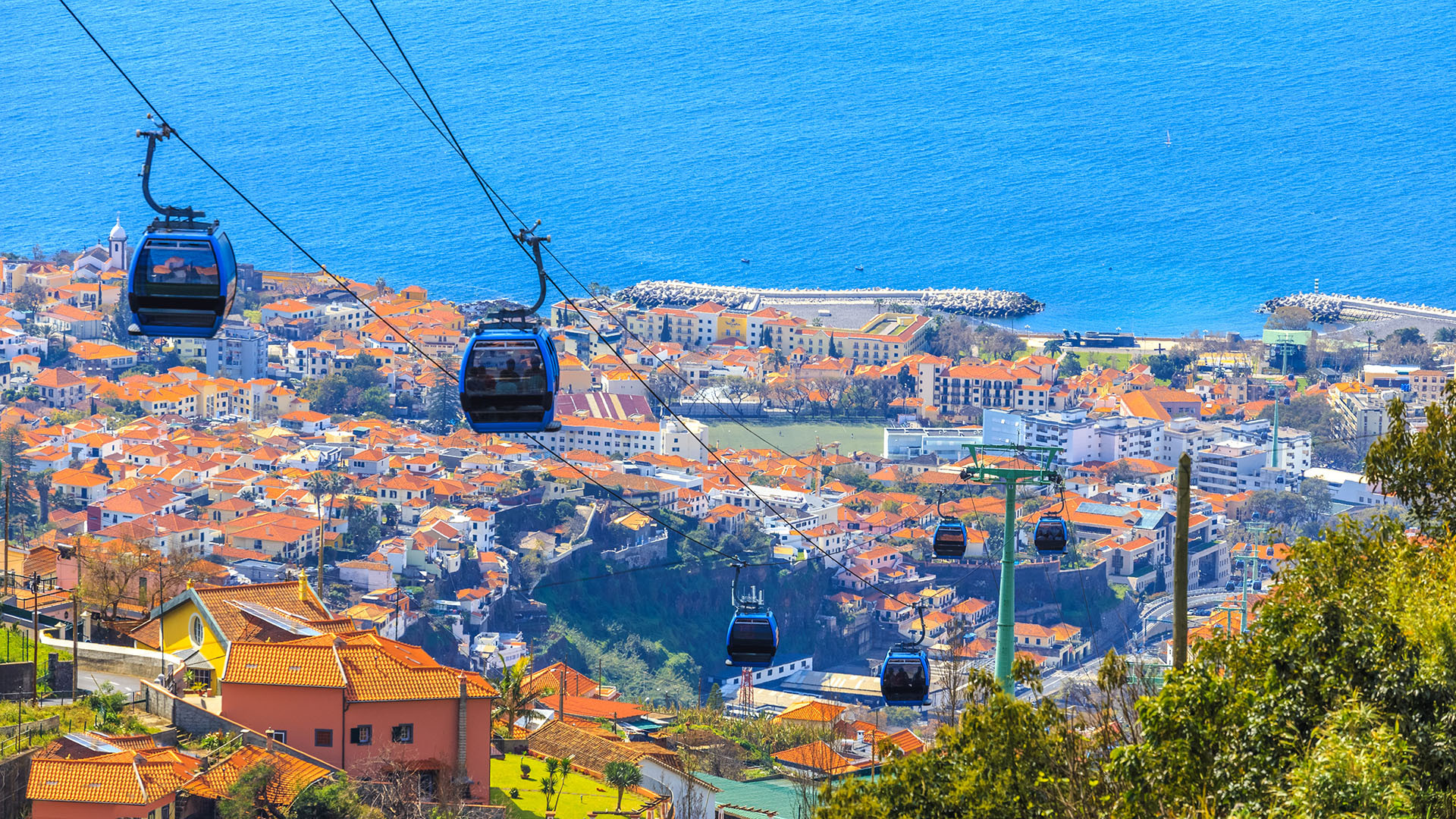 Funchal image 4