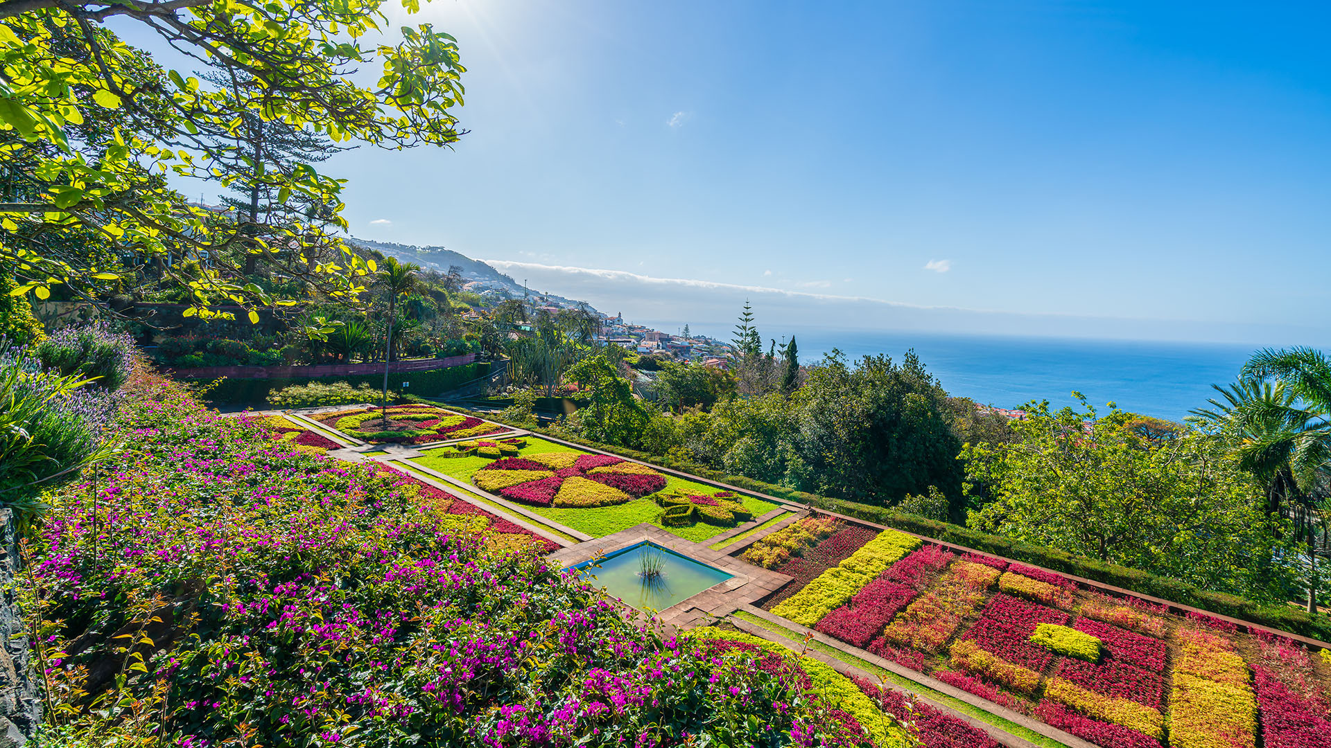 Funchal image 2