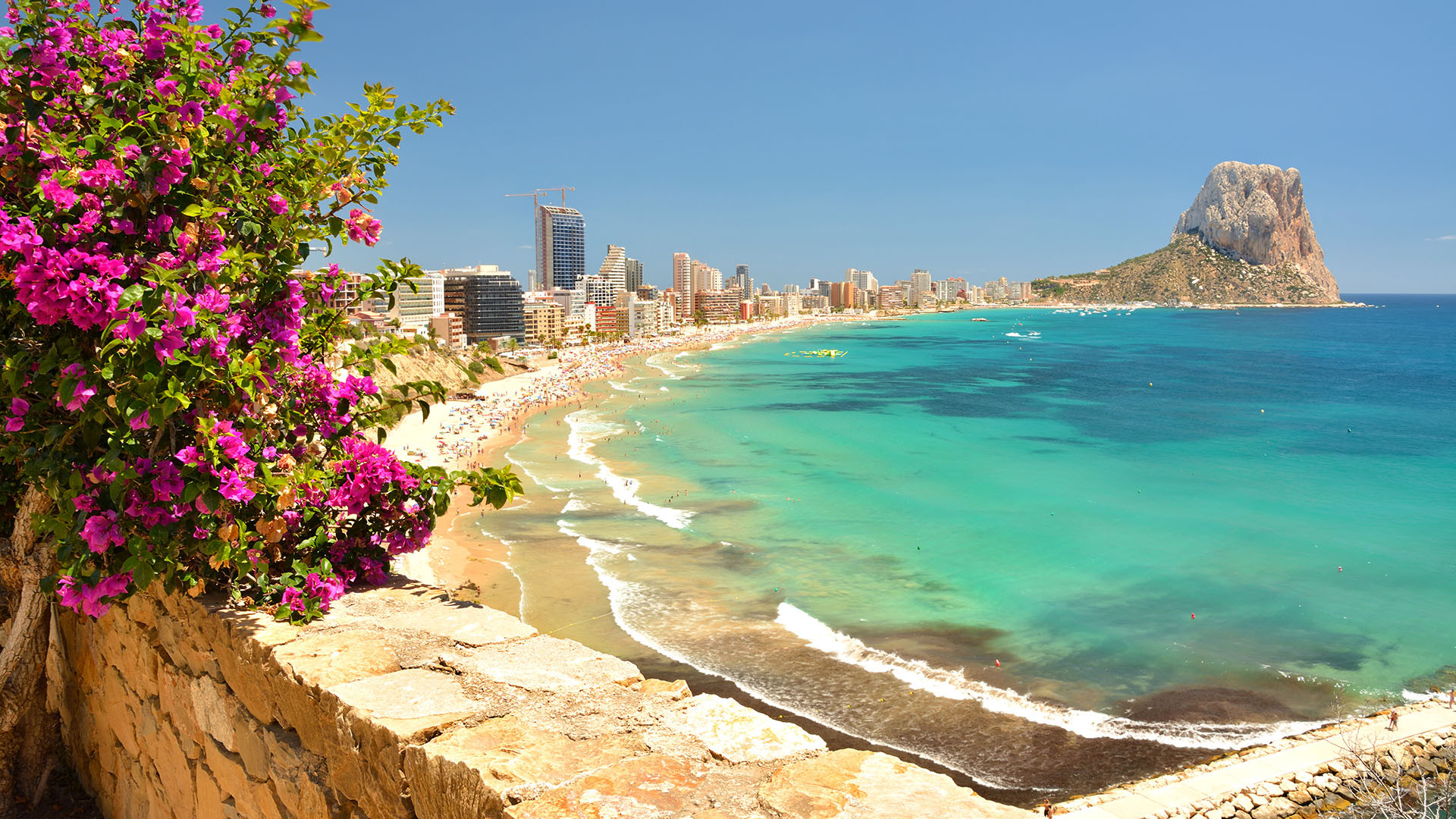 Alicante image 5