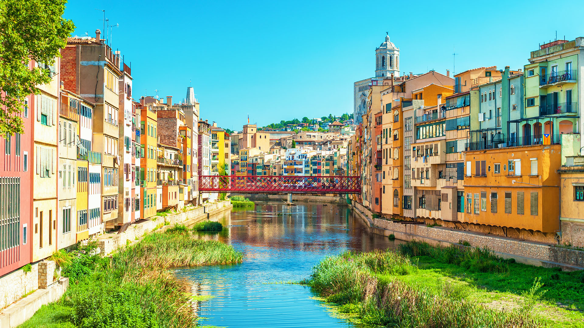 Gerona image 2