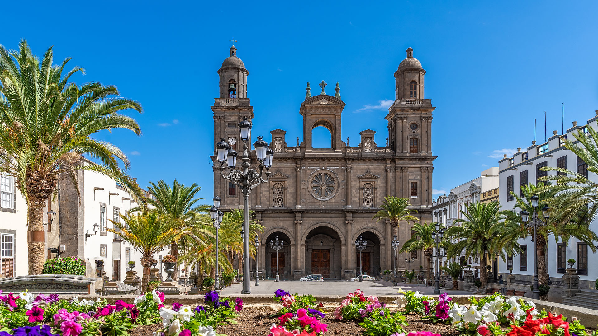 Gran Canaria Las Palmas image 2
