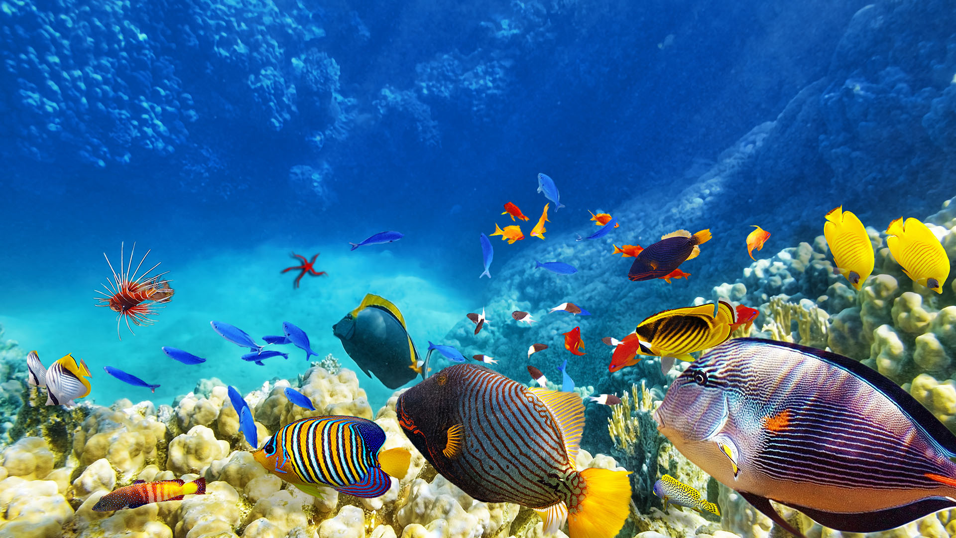 Hurghada image 2