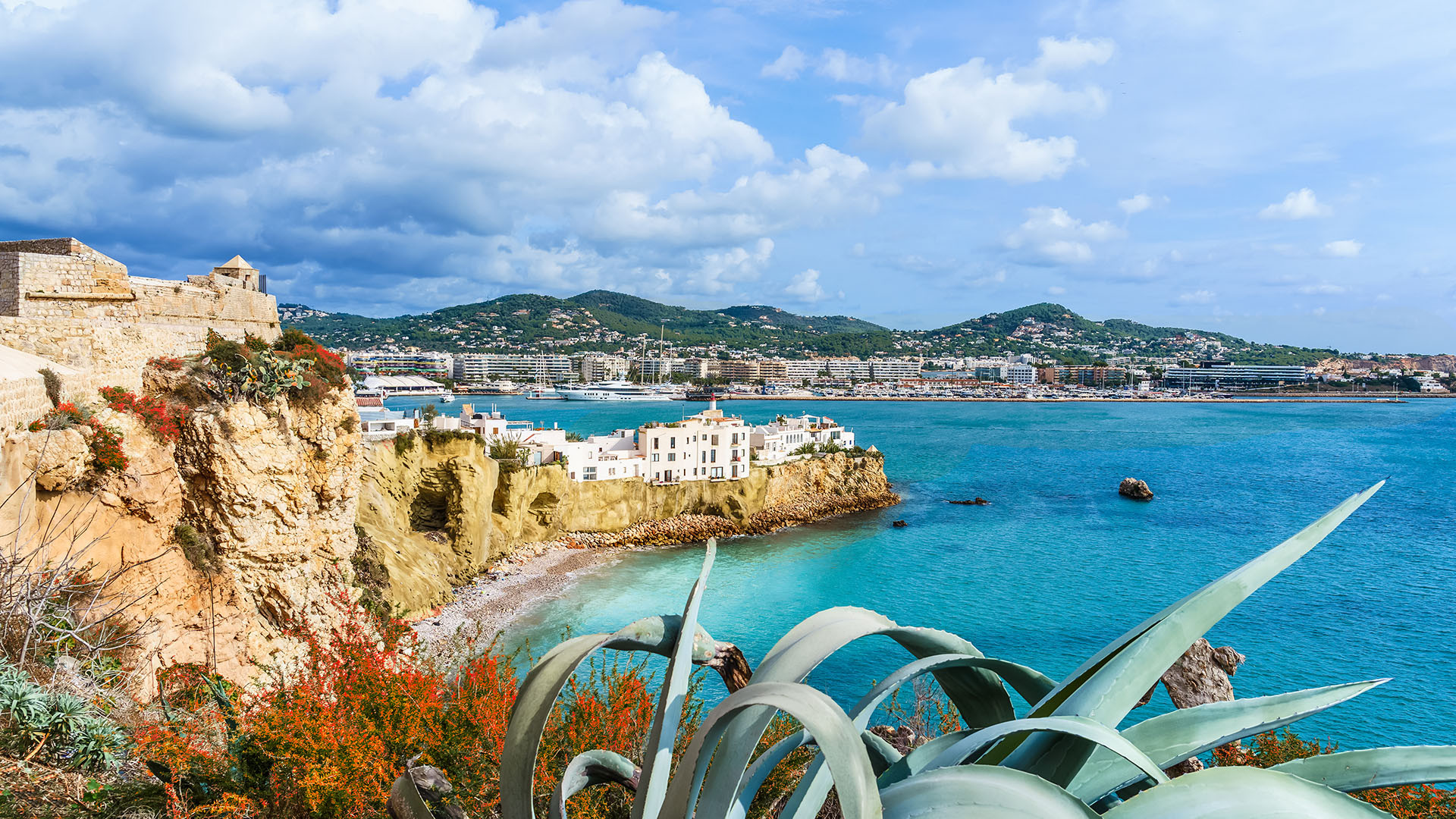 Ibiza image 1