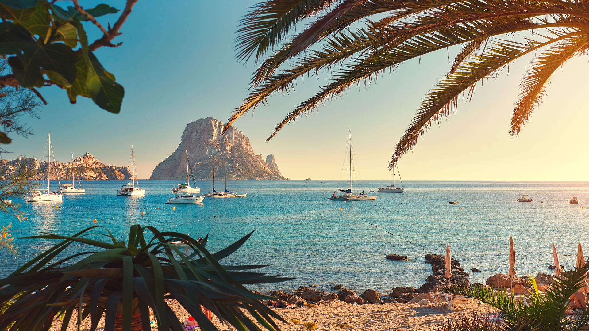 Ibiza image 2