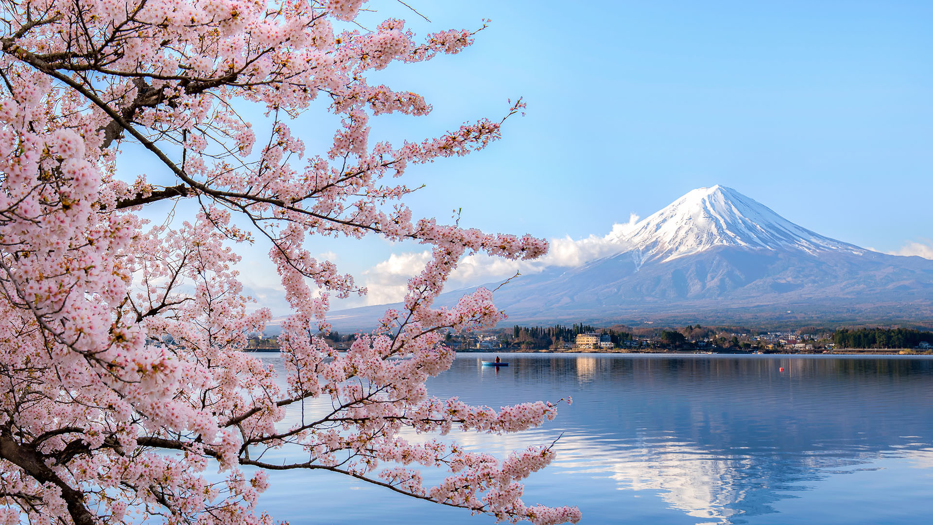 Tokyo image 2