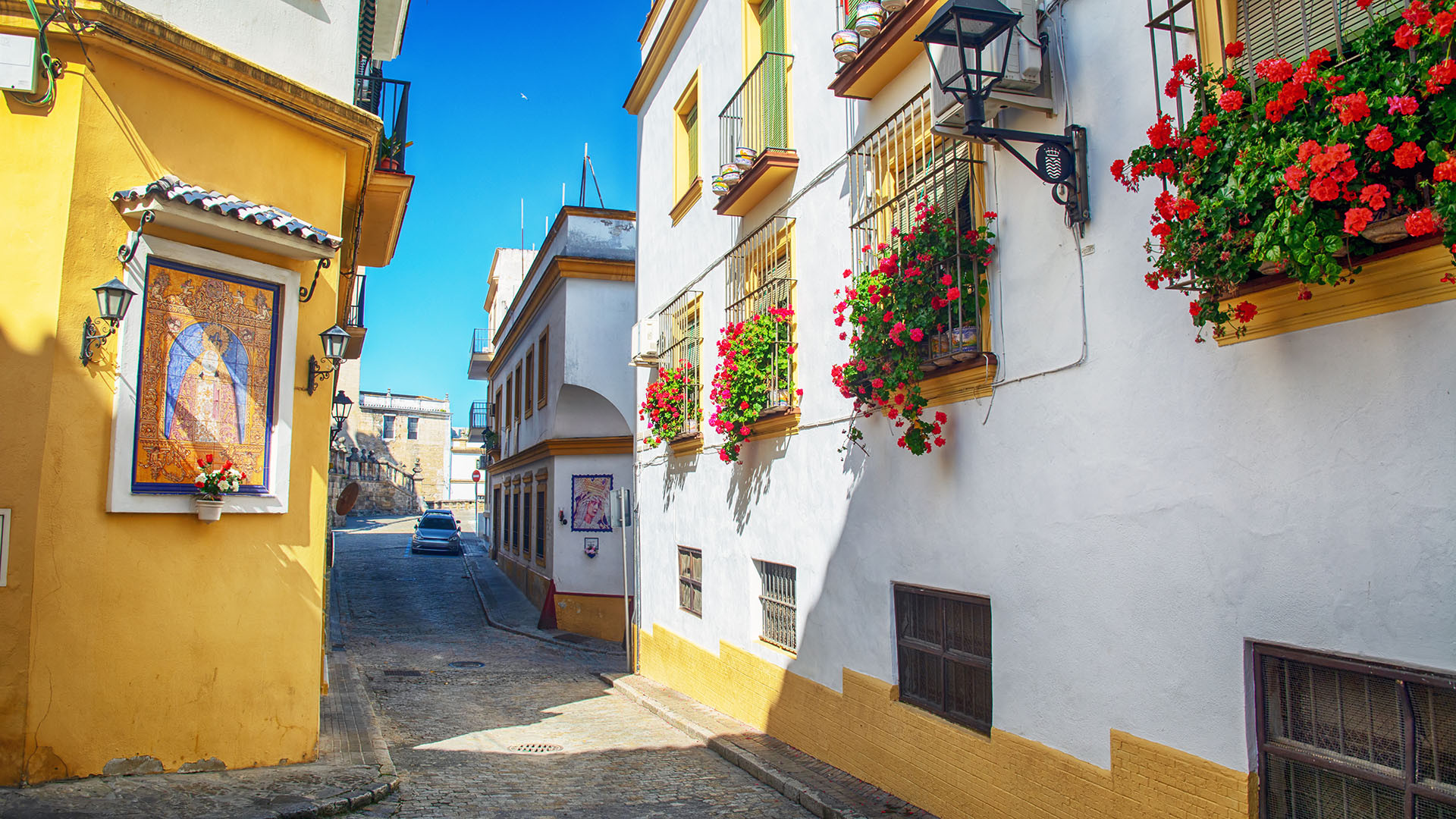 Jerez image 5