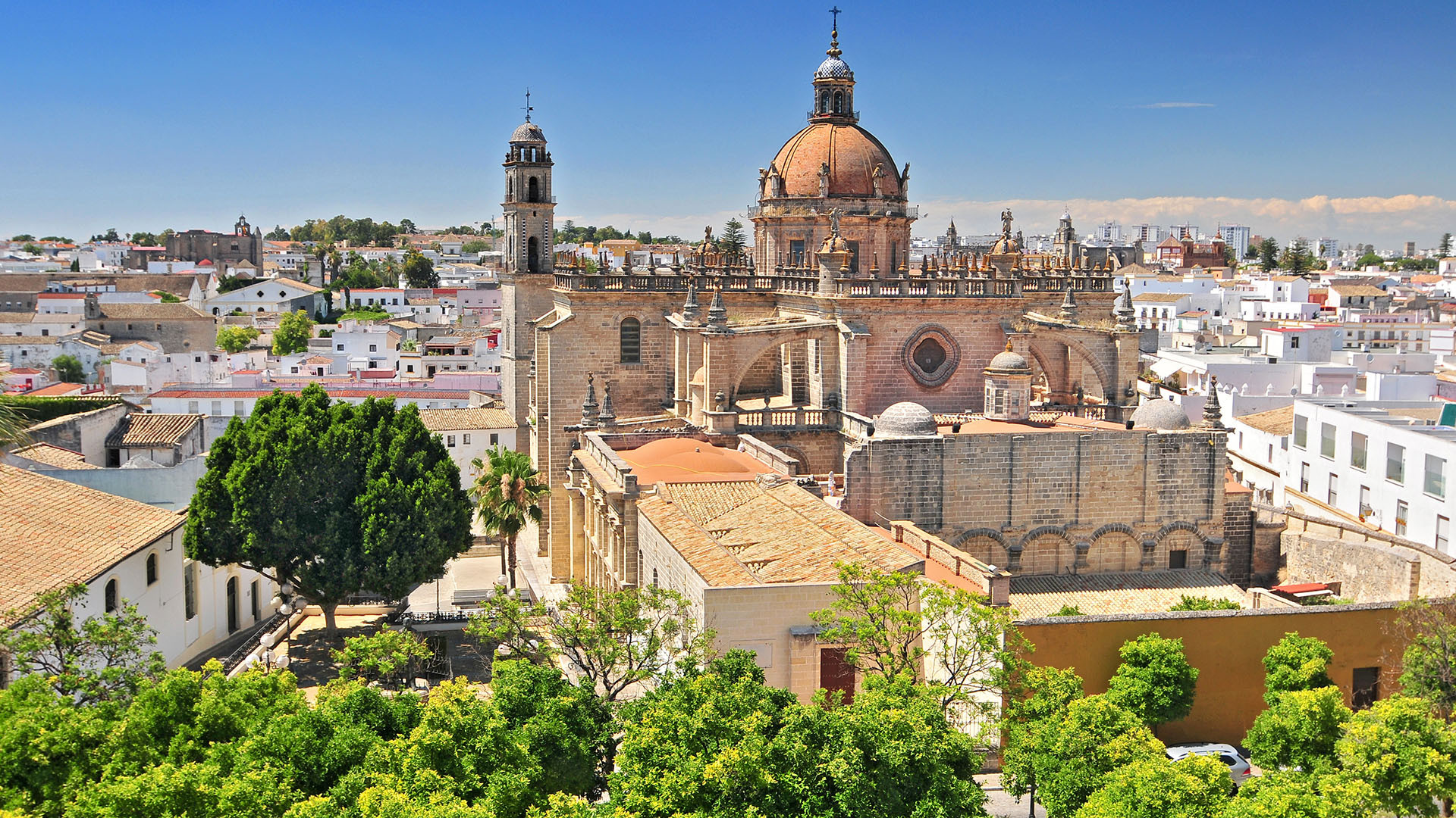 Jerez image 1