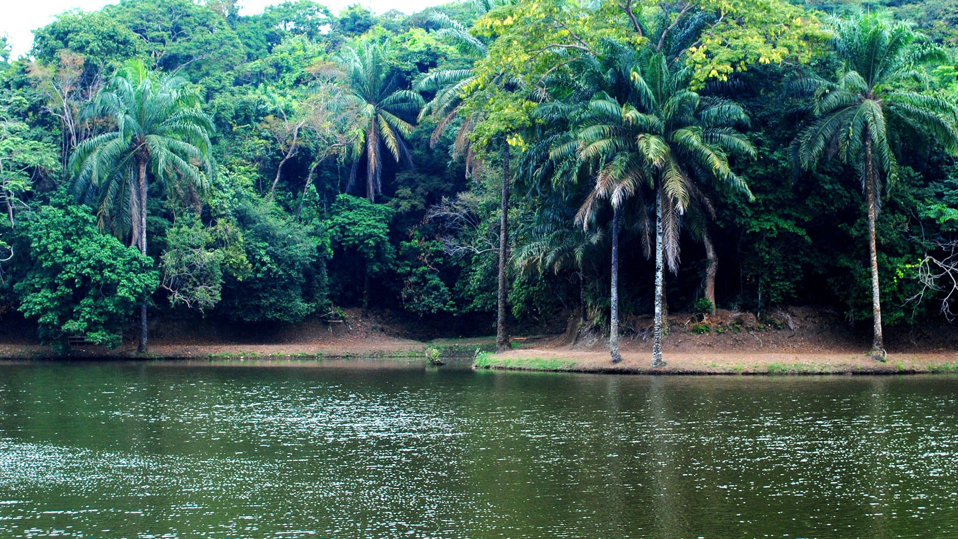 Kinshasa image 3