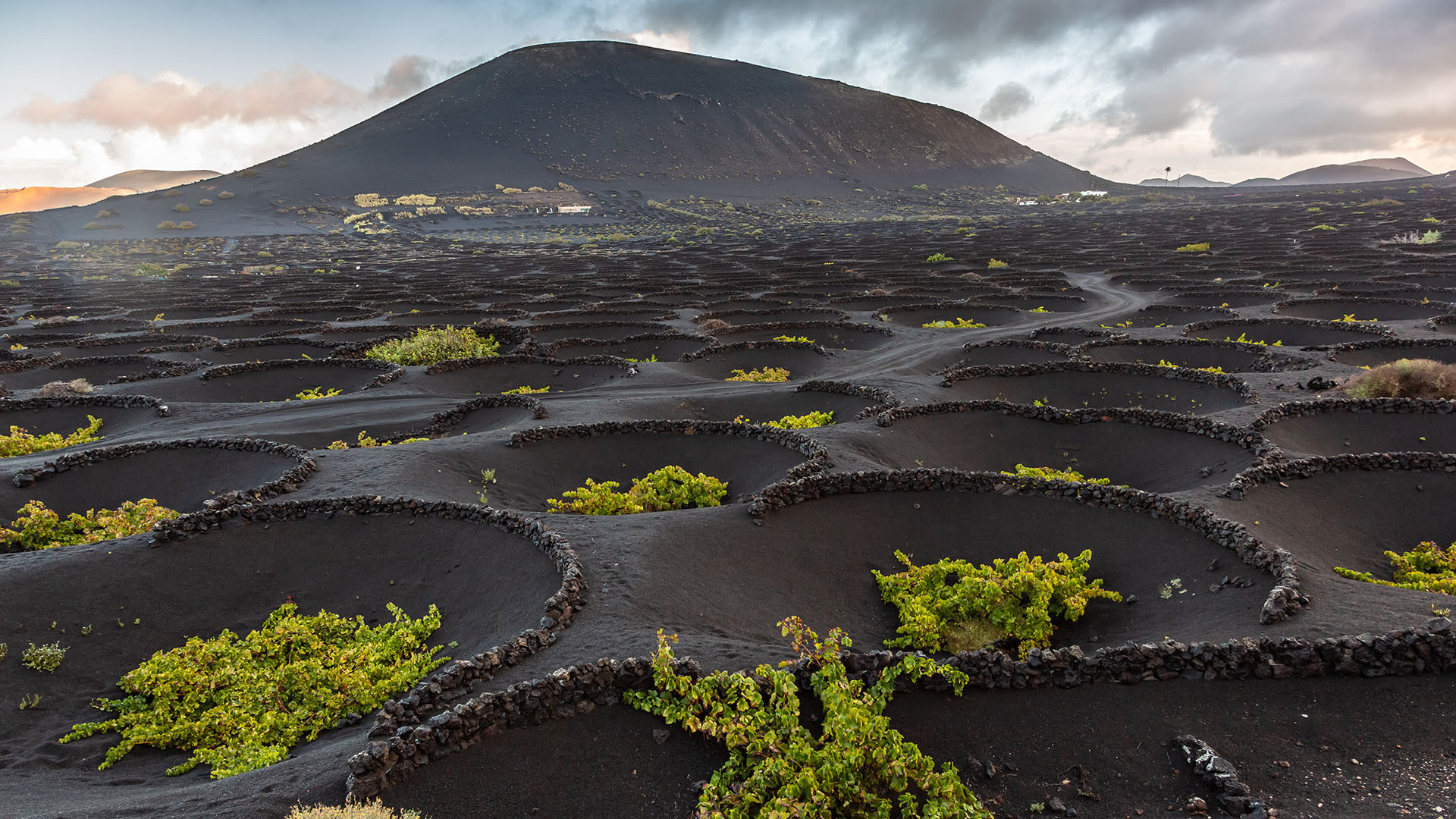 Lanzarote - Arrecife image 3