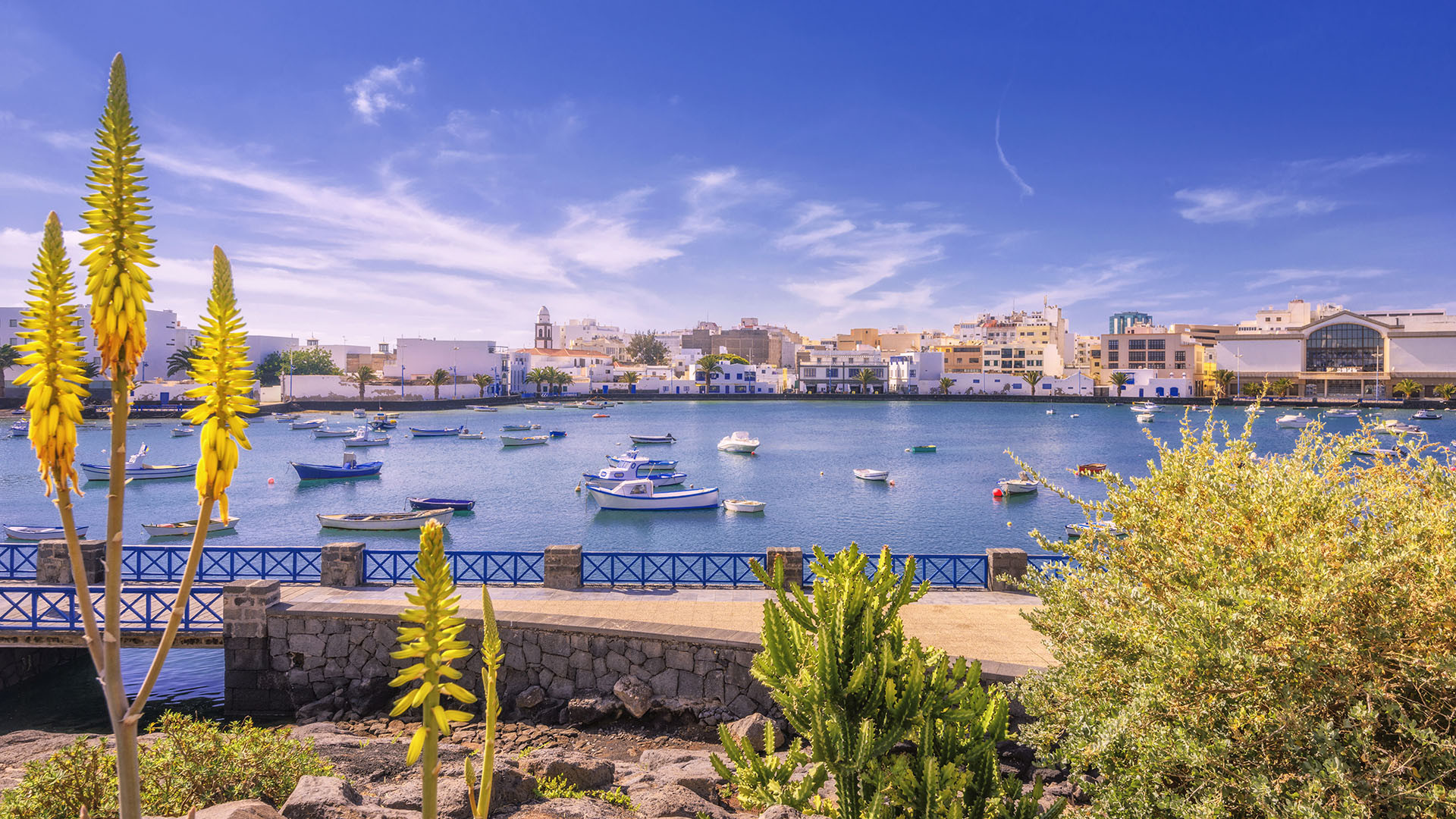 Lanzarote - Arrecife image 2