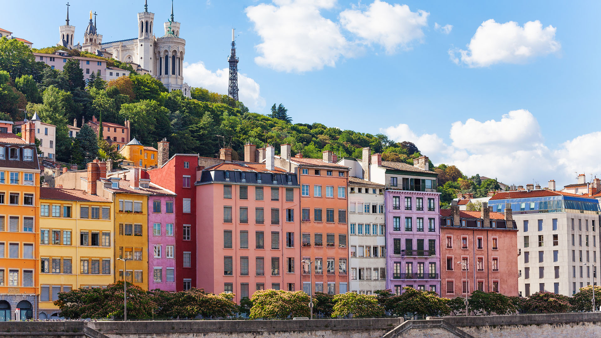 Lyon image 5