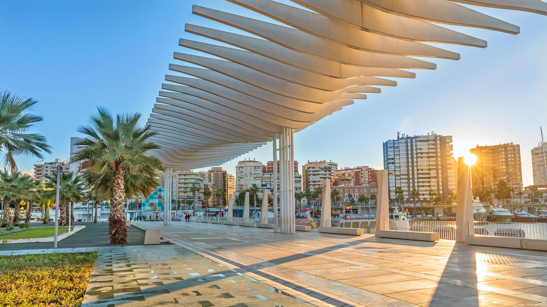Malaga image 3