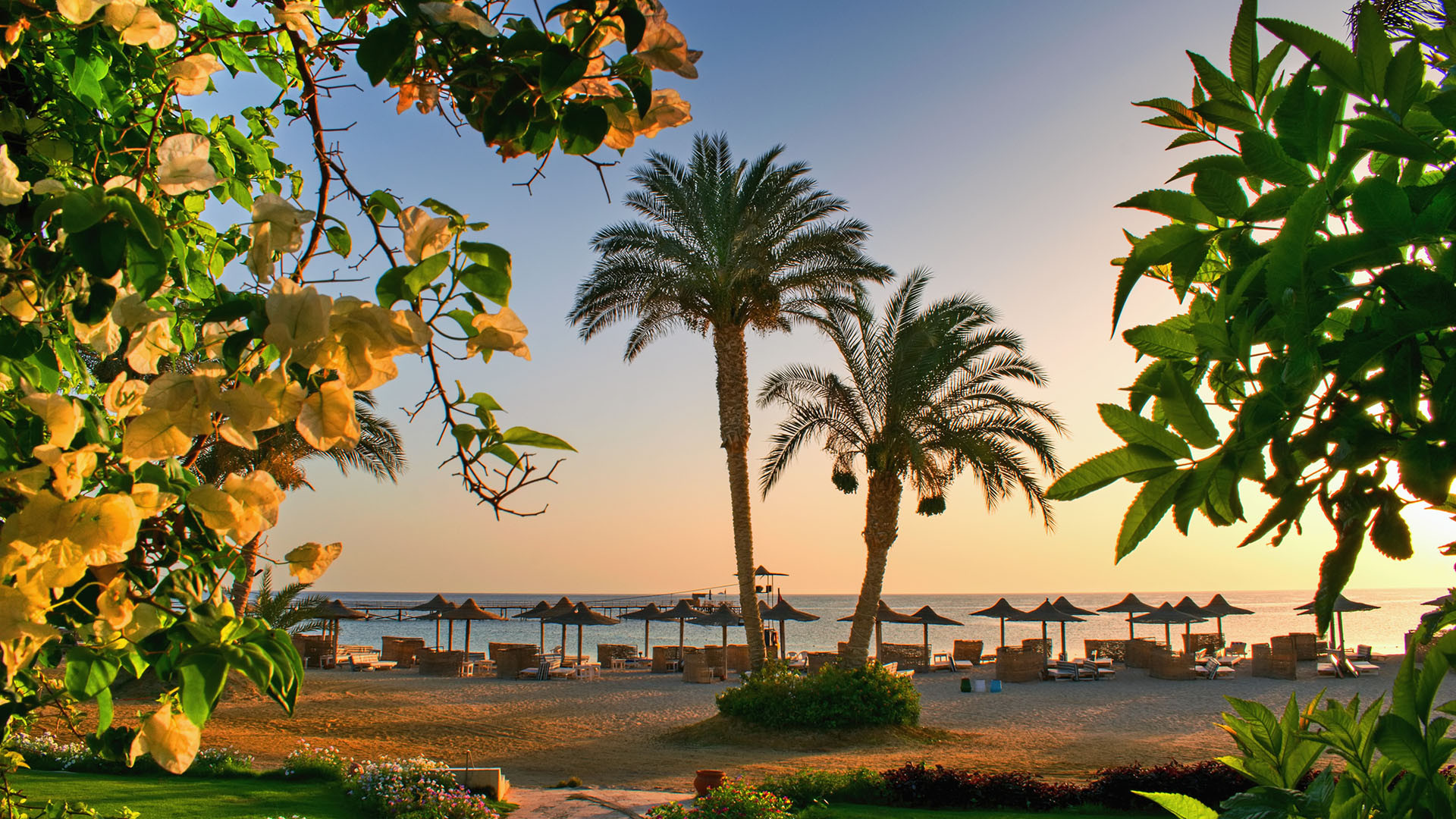Marsa Alam image 1