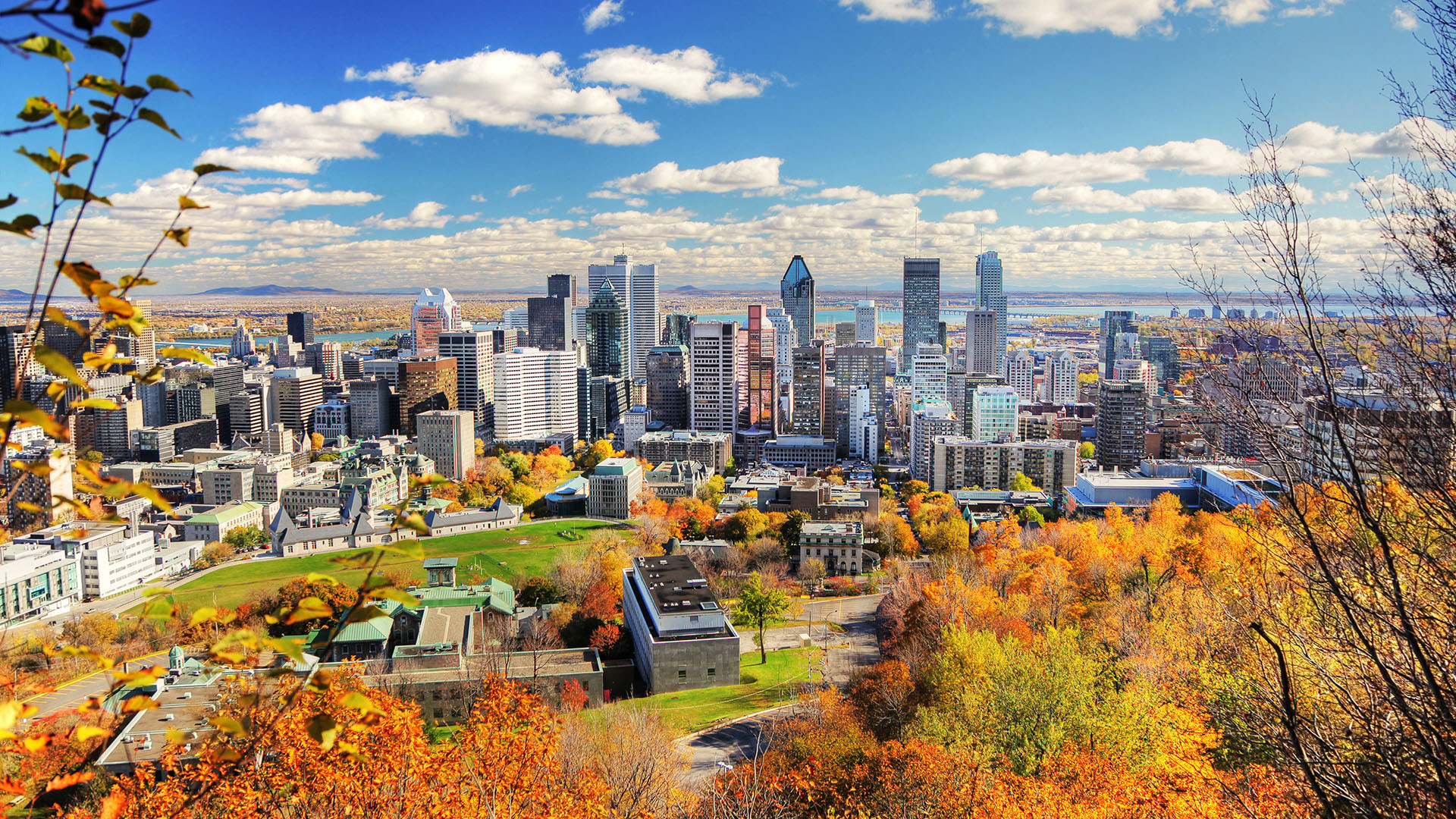 Montreal image 4
